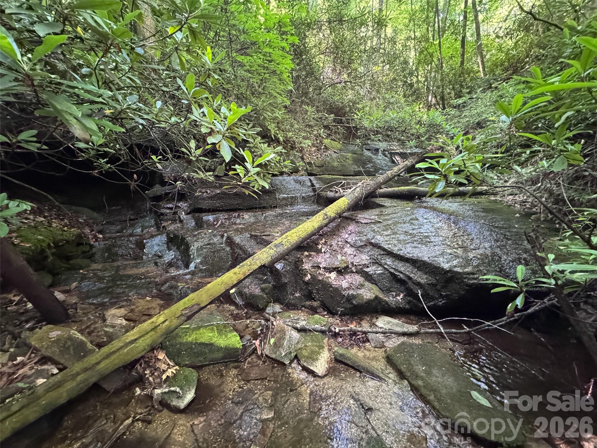 Lot at 000 Chestnut Oak Lane, Pisgah Forest, photo 10 of 29