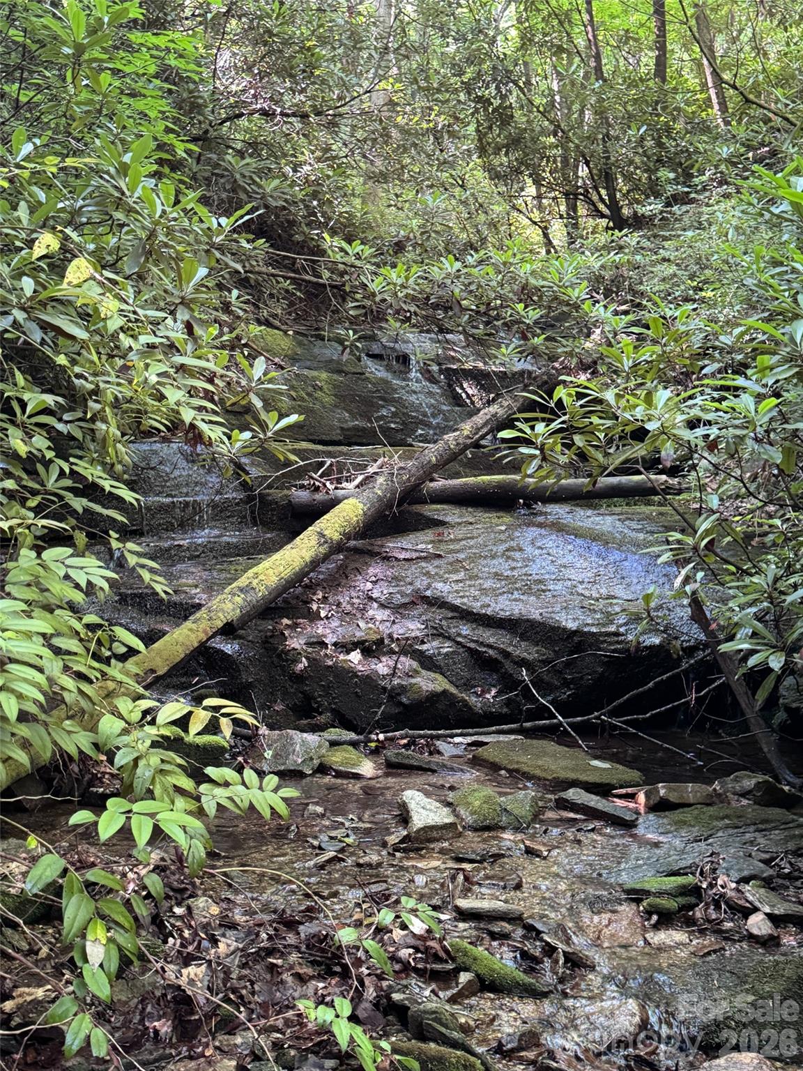 Lot at 000 Chestnut Oak Lane, Pisgah Forest, photo 12 of 29