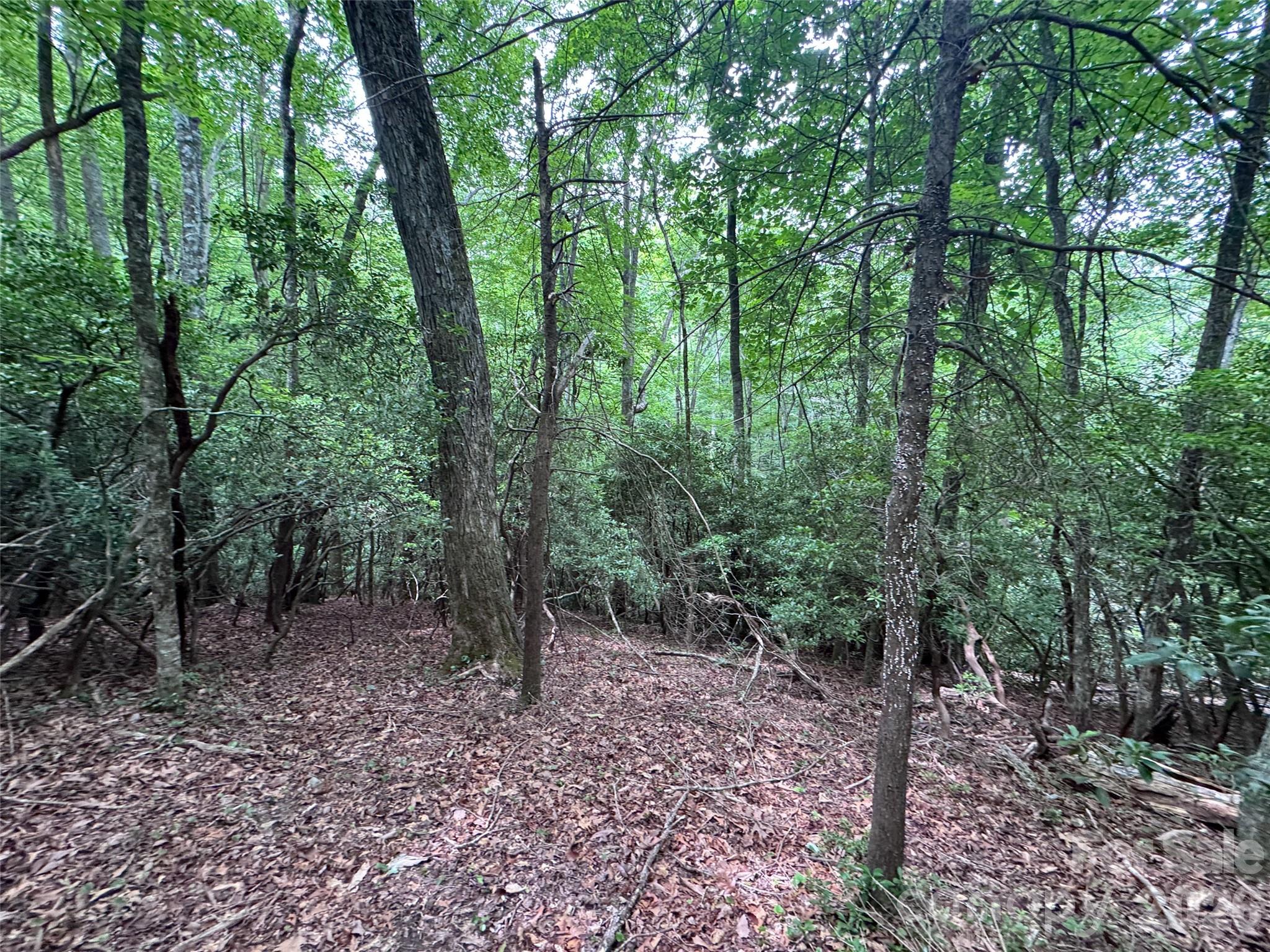 Lot at 000 Chestnut Oak Lane, Pisgah Forest, photo 15 of 29