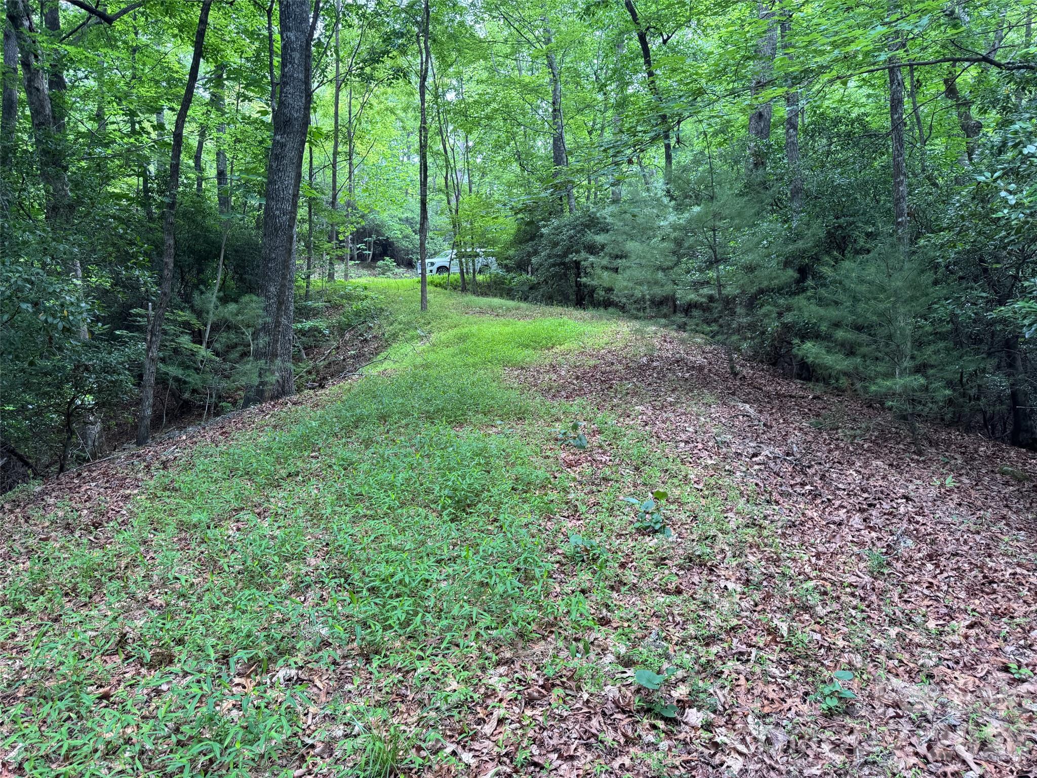 Lot at 000 Chestnut Oak Lane, Pisgah Forest, photo 17 of 29