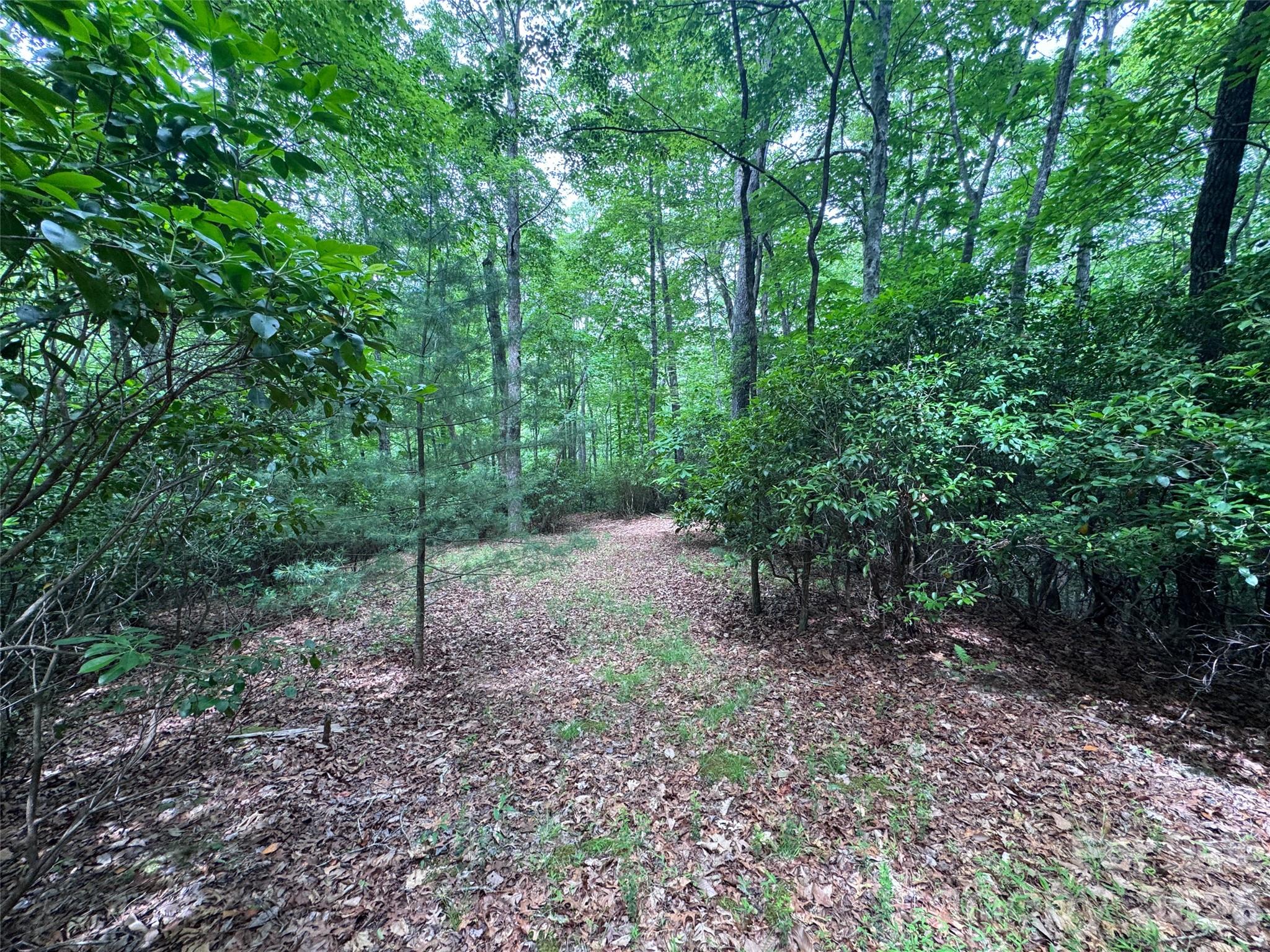 Lot at 000 Chestnut Oak Lane, Pisgah Forest, photo 20 of 29