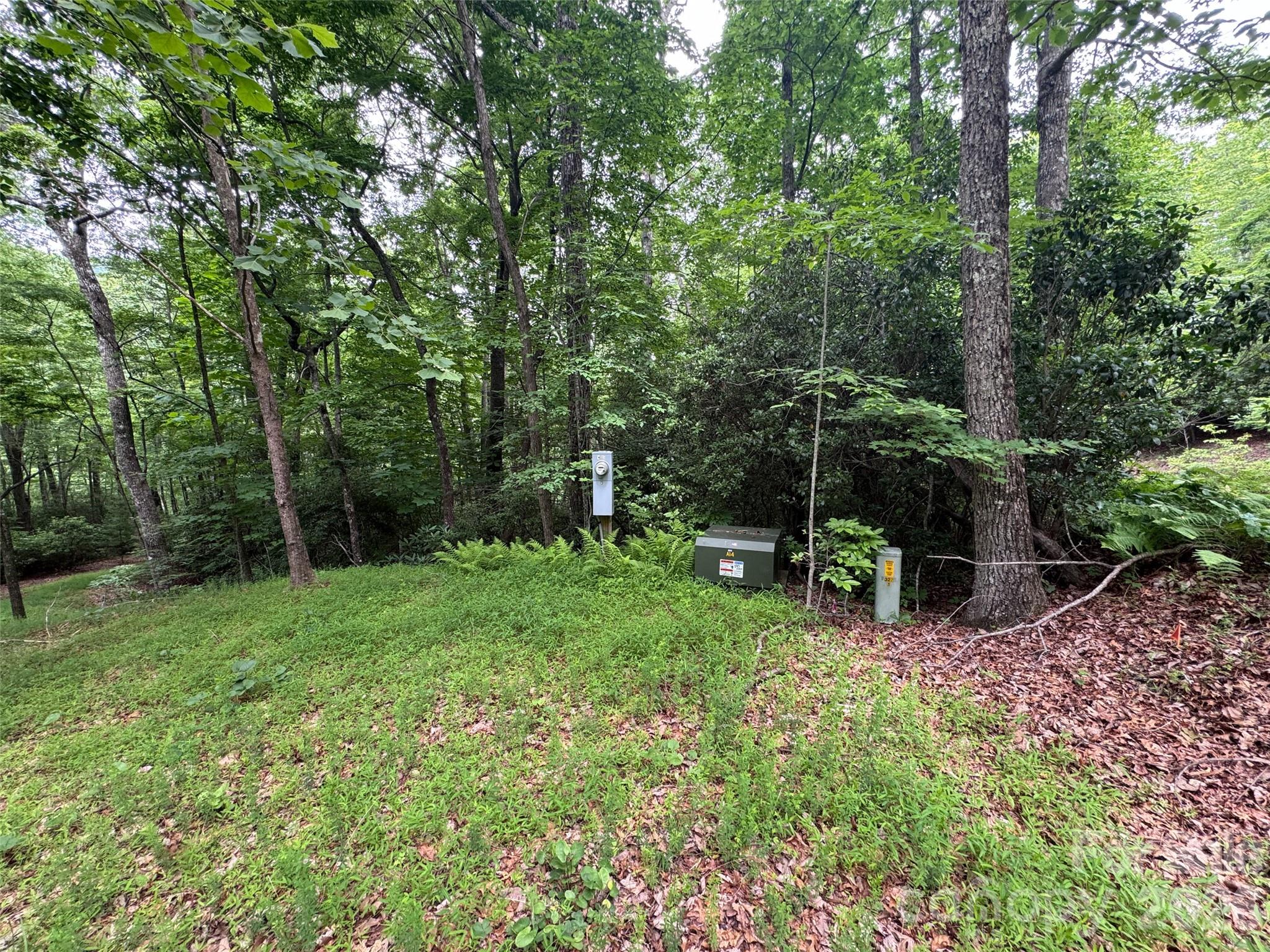 Lot at 000 Chestnut Oak Lane, Pisgah Forest, photo 23 of 29