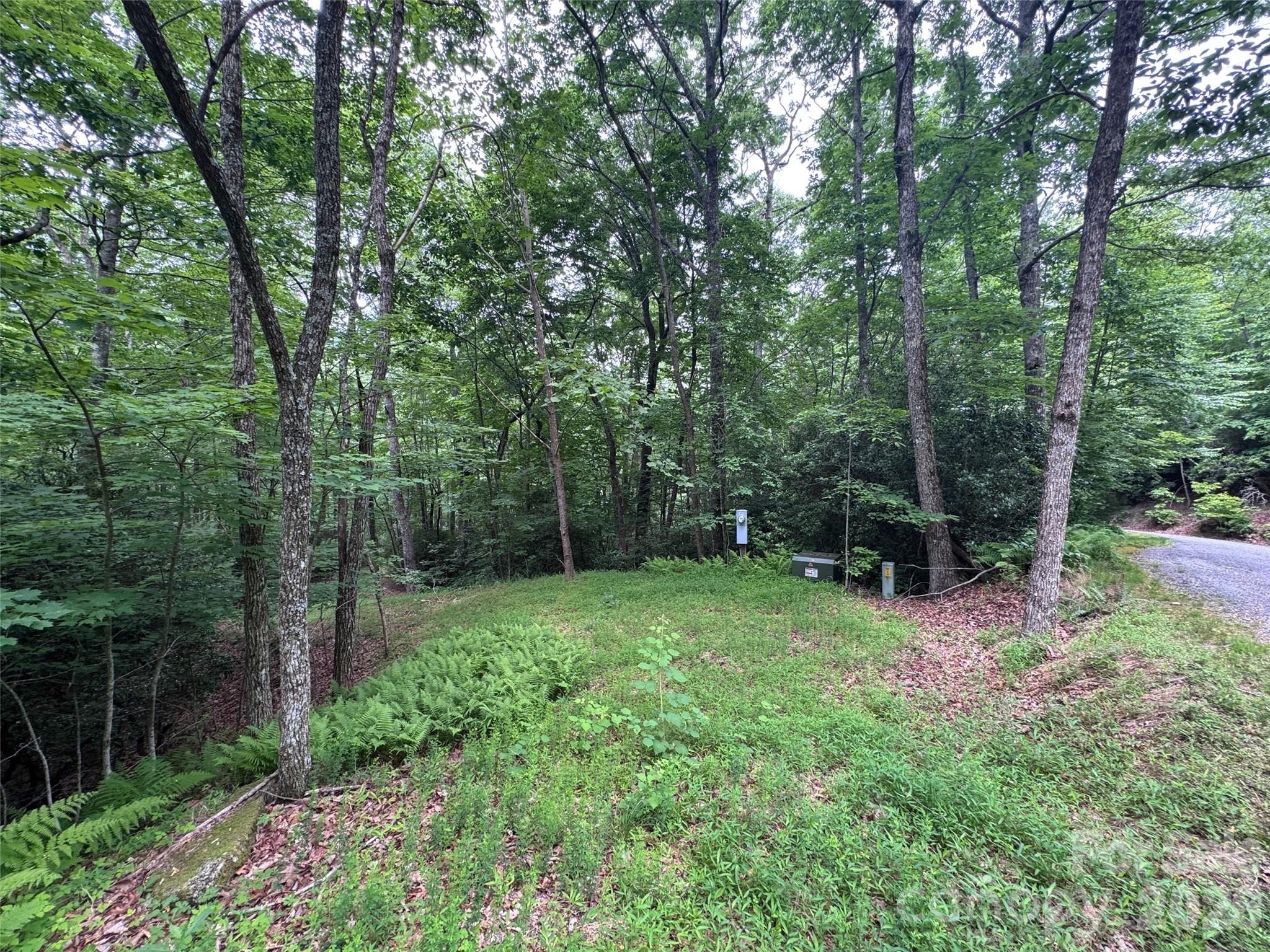 Lot at 000 Chestnut Oak Lane, Pisgah Forest, photo 24 of 29