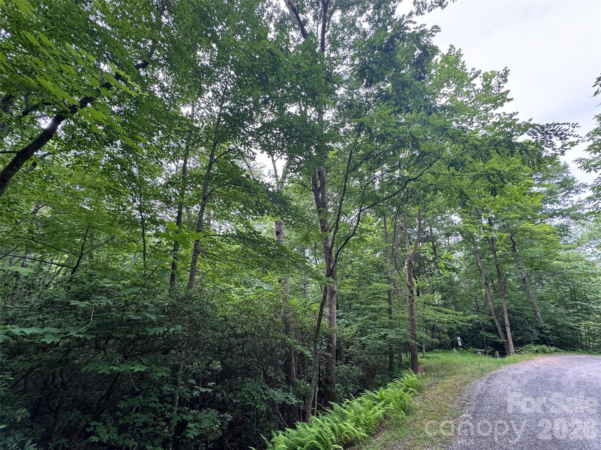 Lot at 000 Chestnut Oak Lane, Pisgah Forest, photo 25 of 29