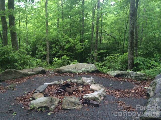 Common Area - 000 Chestnut Oak Lane, Pisgah Forest
