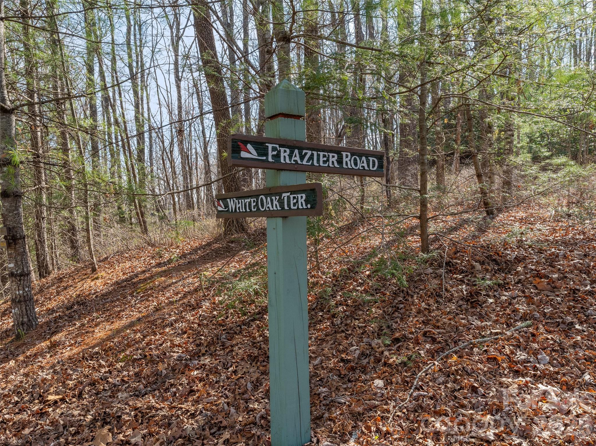 Lot at TBD White Oak Terrace, Brevard, photo 2 of 31