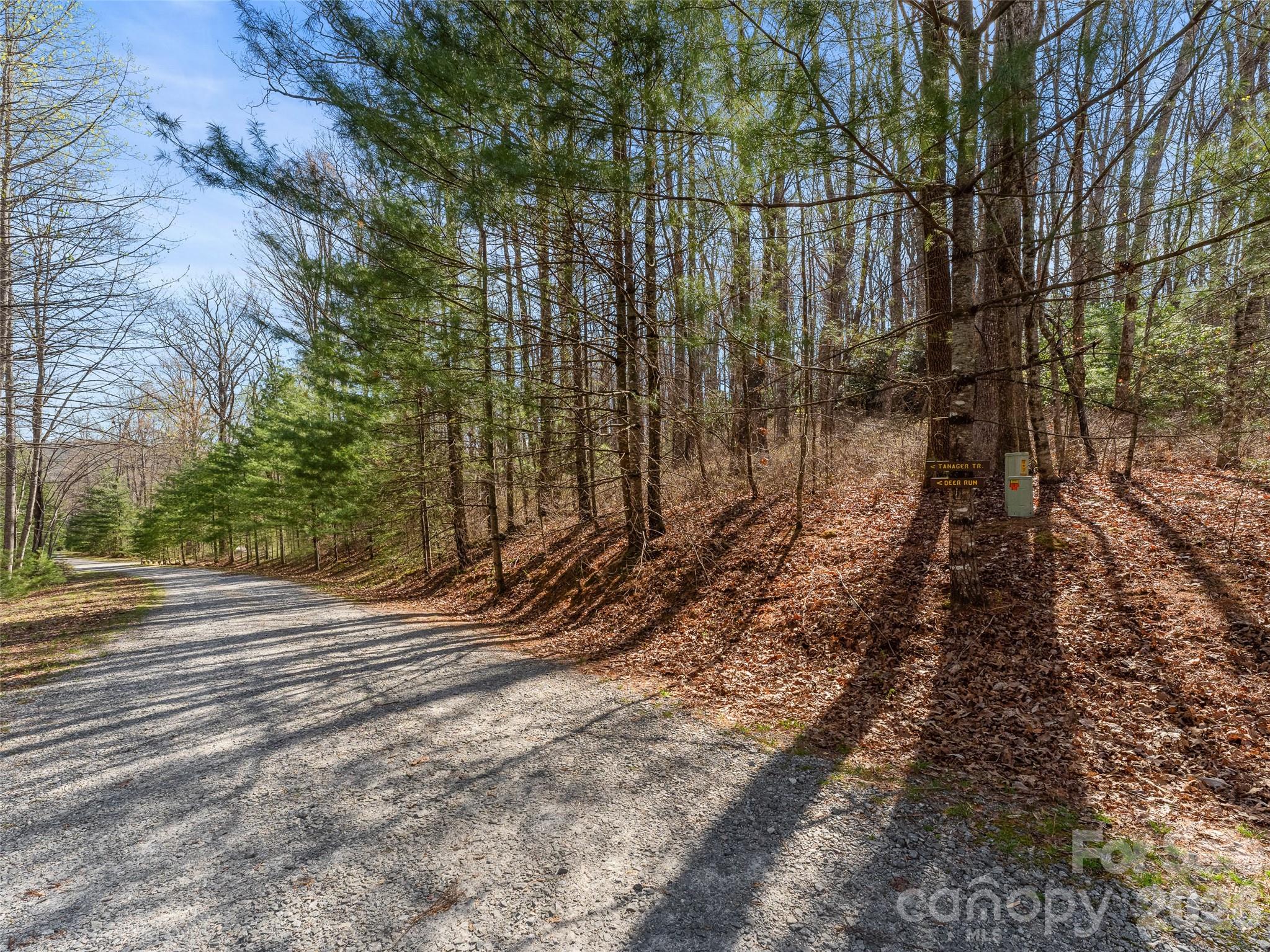 Lot at TBD White Oak Terrace, Brevard, photo 3 of 31