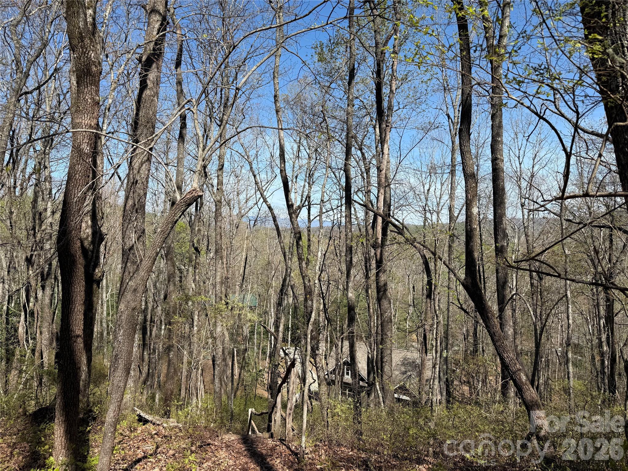 Lot at TBD White Oak Terrace, Brevard, photo 5 of 31