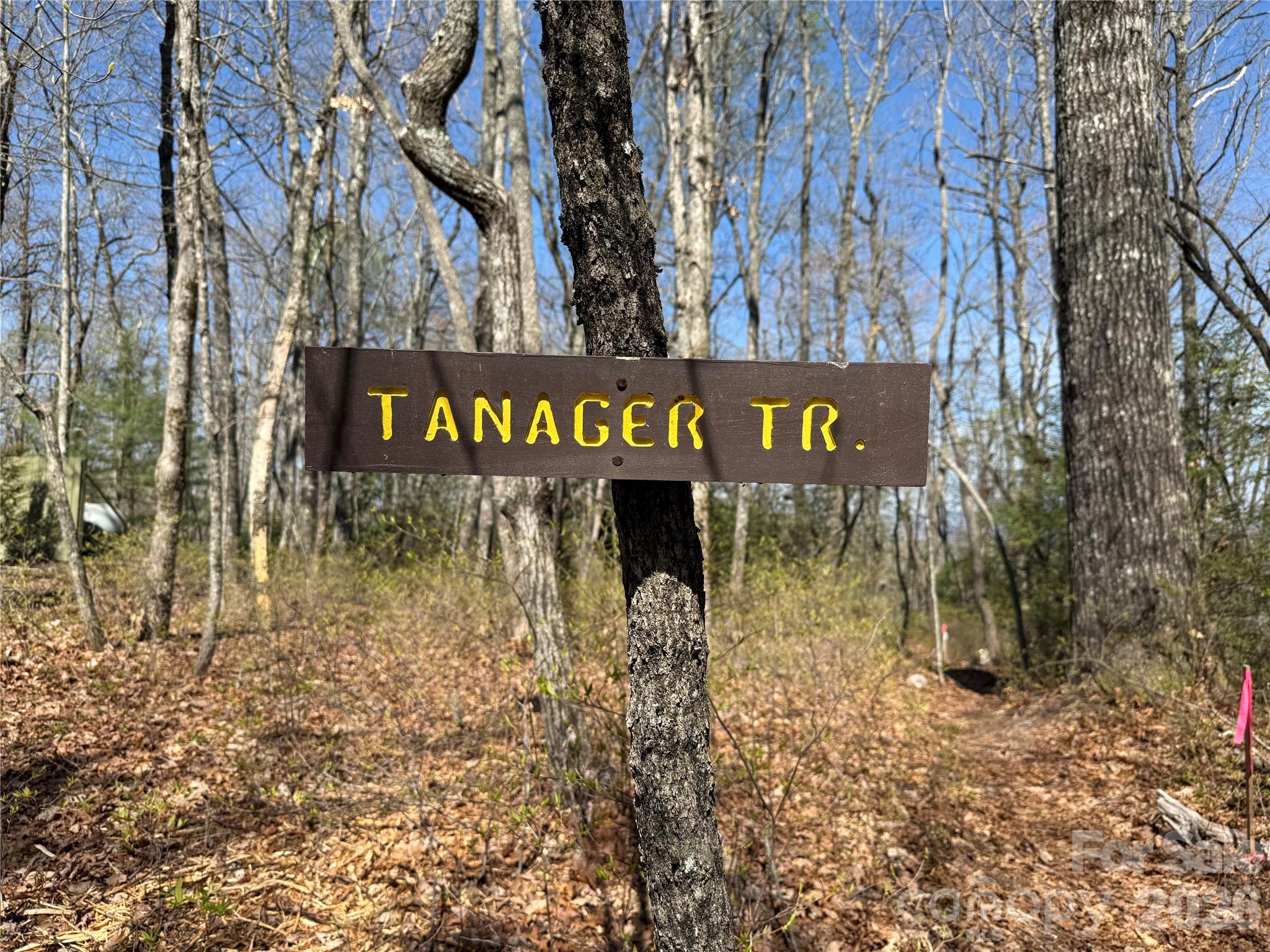 Lot at TBD White Oak Terrace, Brevard, photo 20 of 31