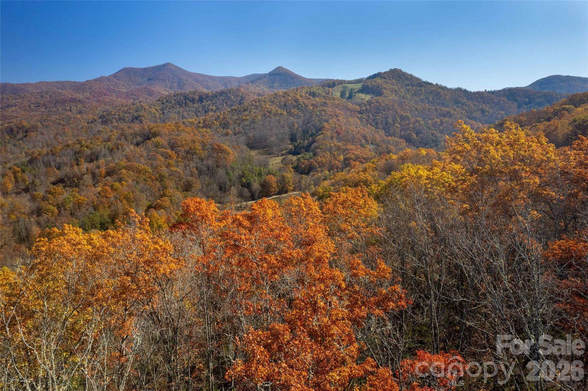 Acreage at 5 Copperhead Cove, Sylva, photo 2 of 27