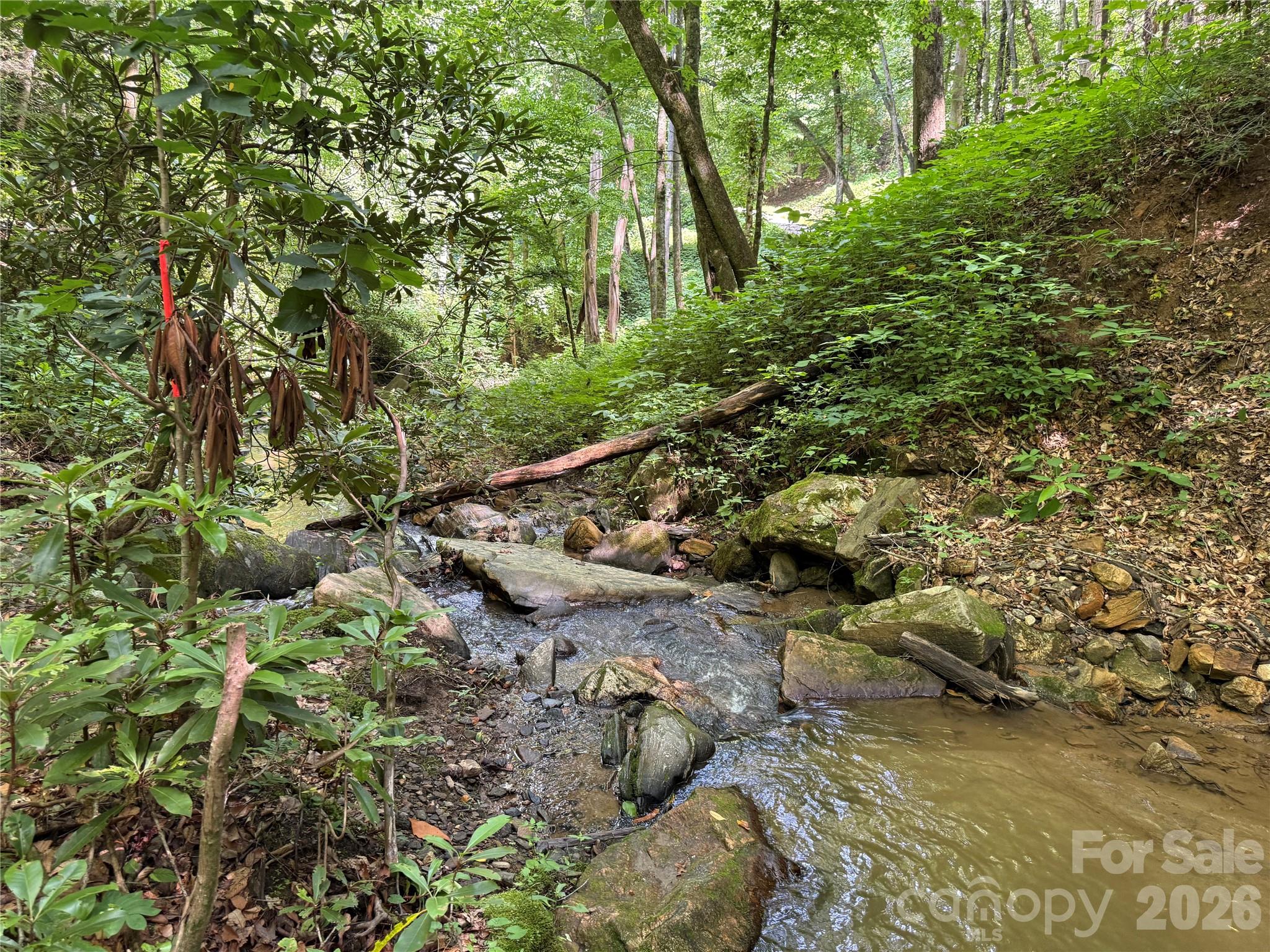 Acreage at 5 Copperhead Cove, Sylva, photo 3 of 27