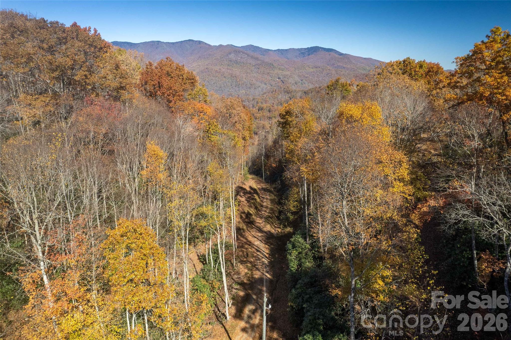 Acreage at 5 Copperhead Cove, Sylva, photo 4 of 27