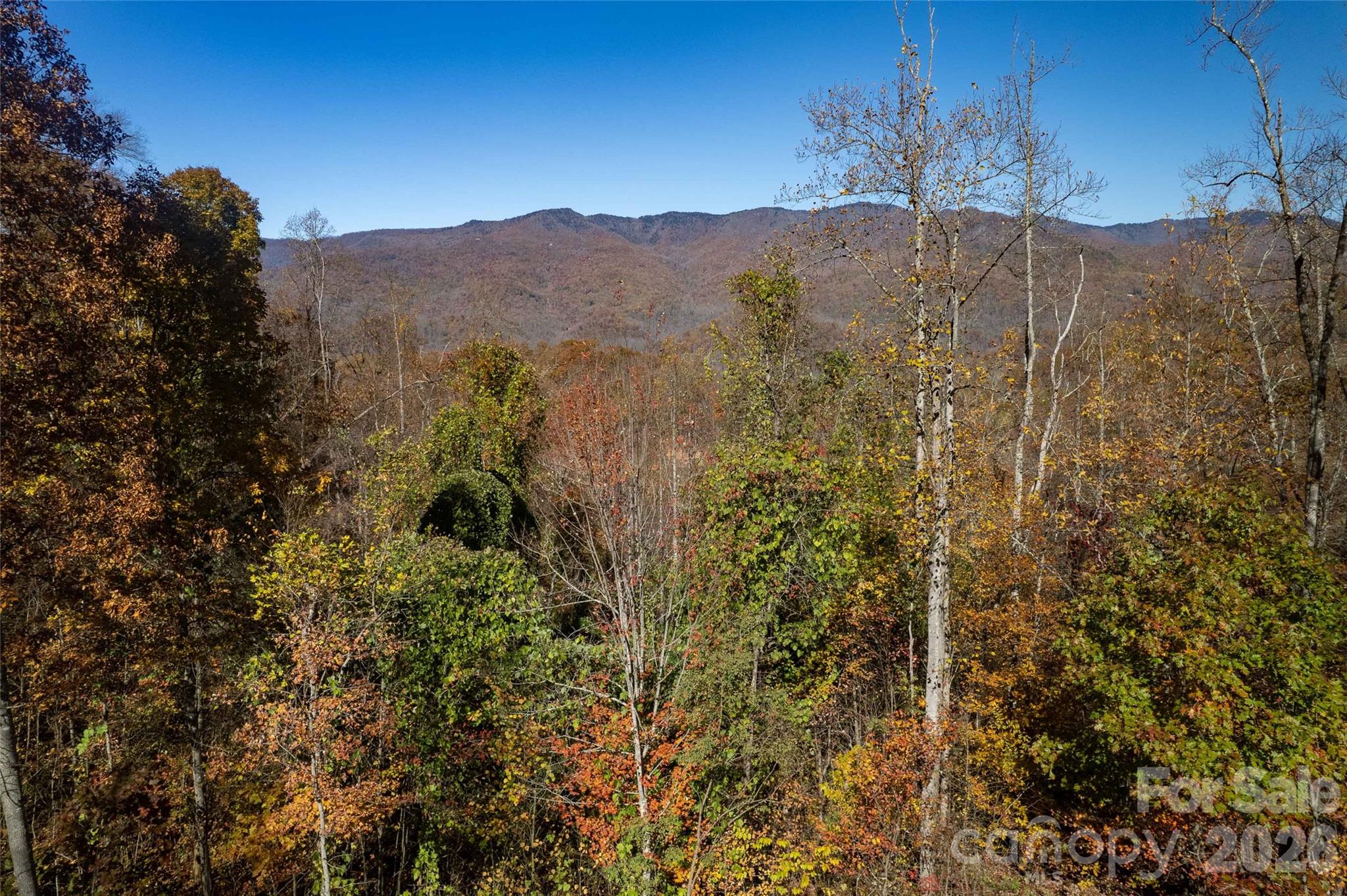 Acreage at 5 Copperhead Cove, Sylva, photo 5 of 27