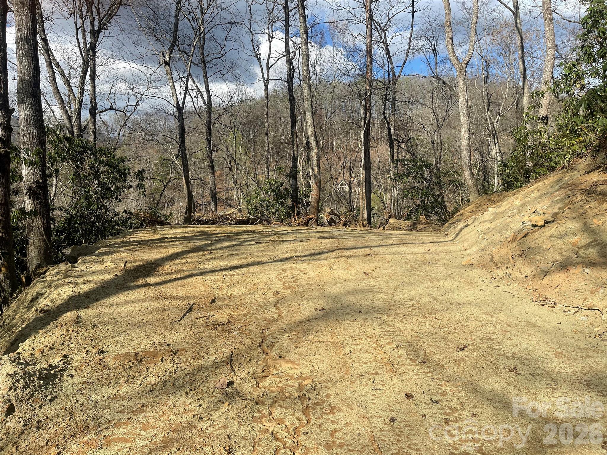 Acreage at 5 Copperhead Cove, Sylva, photo 8 of 27