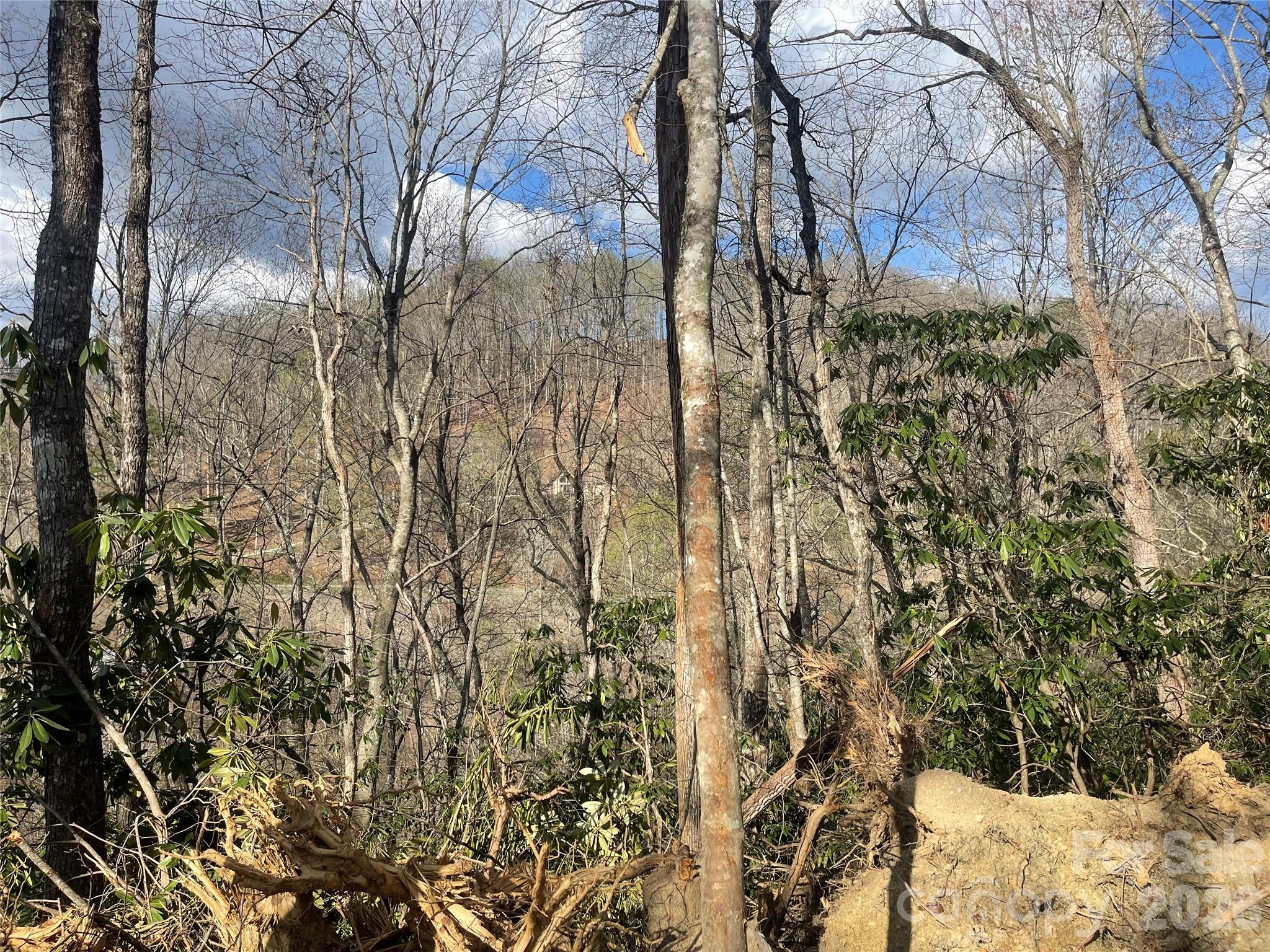 Acreage at 5 Copperhead Cove, Sylva, photo 9 of 27