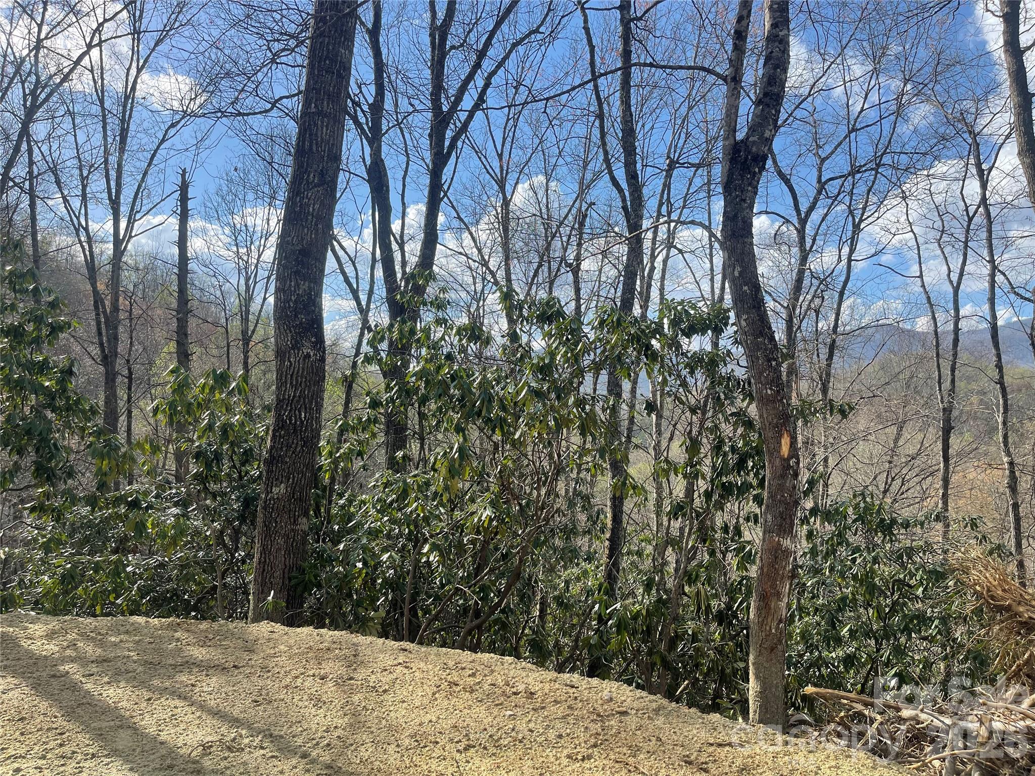 Acreage at 5 Copperhead Cove, Sylva, photo 11 of 27