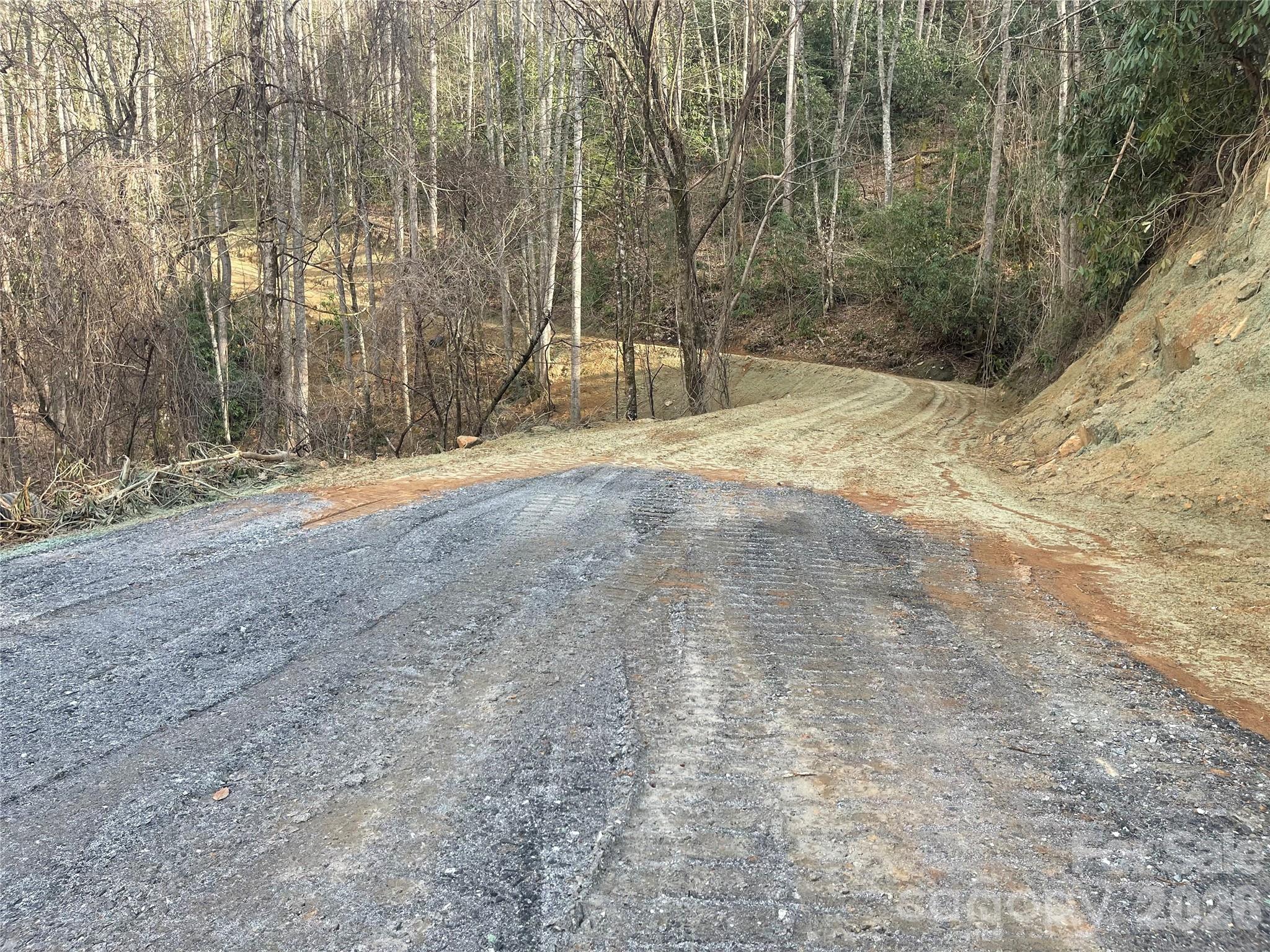 Acreage at 5 Copperhead Cove, Sylva, photo 14 of 27