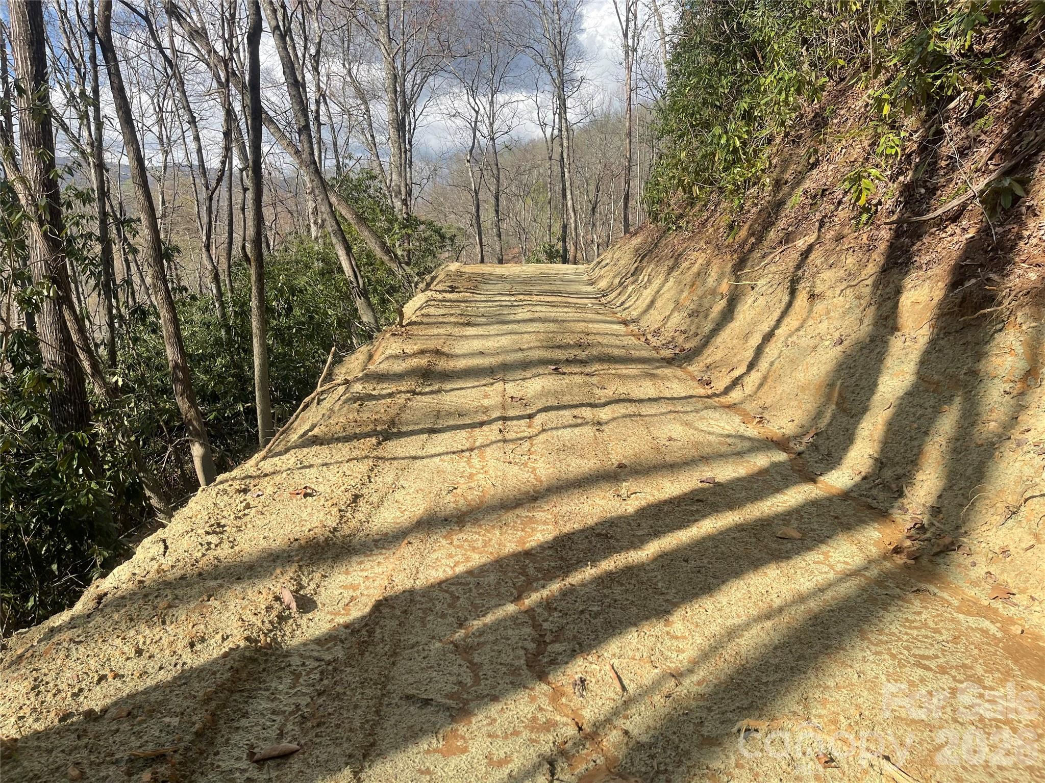 Acreage at 5 Copperhead Cove, Sylva, photo 15 of 27
