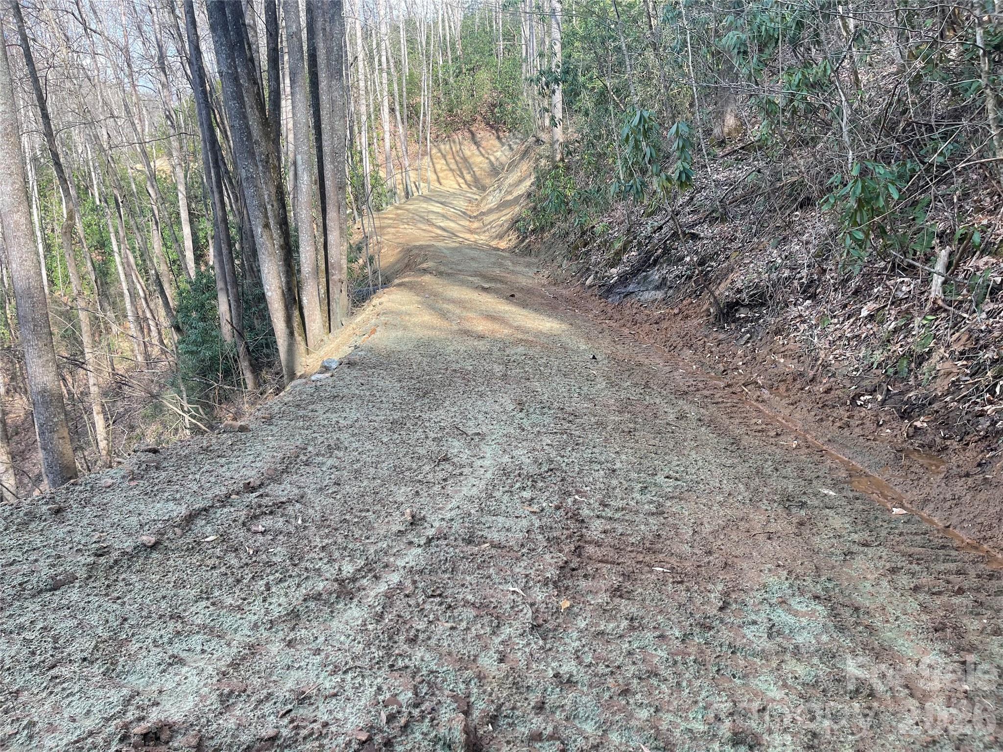 Acreage at 5 Copperhead Cove, Sylva, photo 16 of 27