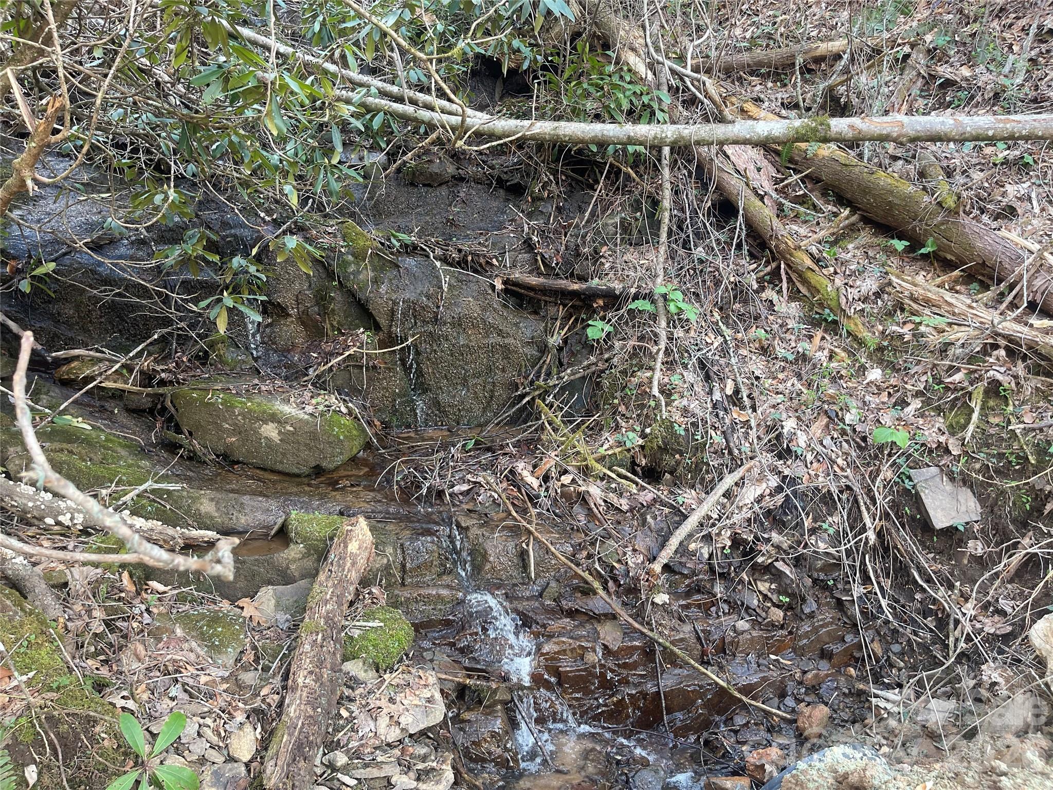 Acreage at 5 Copperhead Cove, Sylva, photo 18 of 27