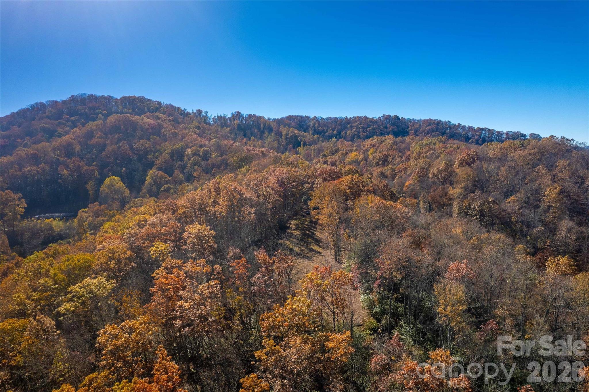 Acreage at 5 Copperhead Cove, Sylva, photo 20 of 27