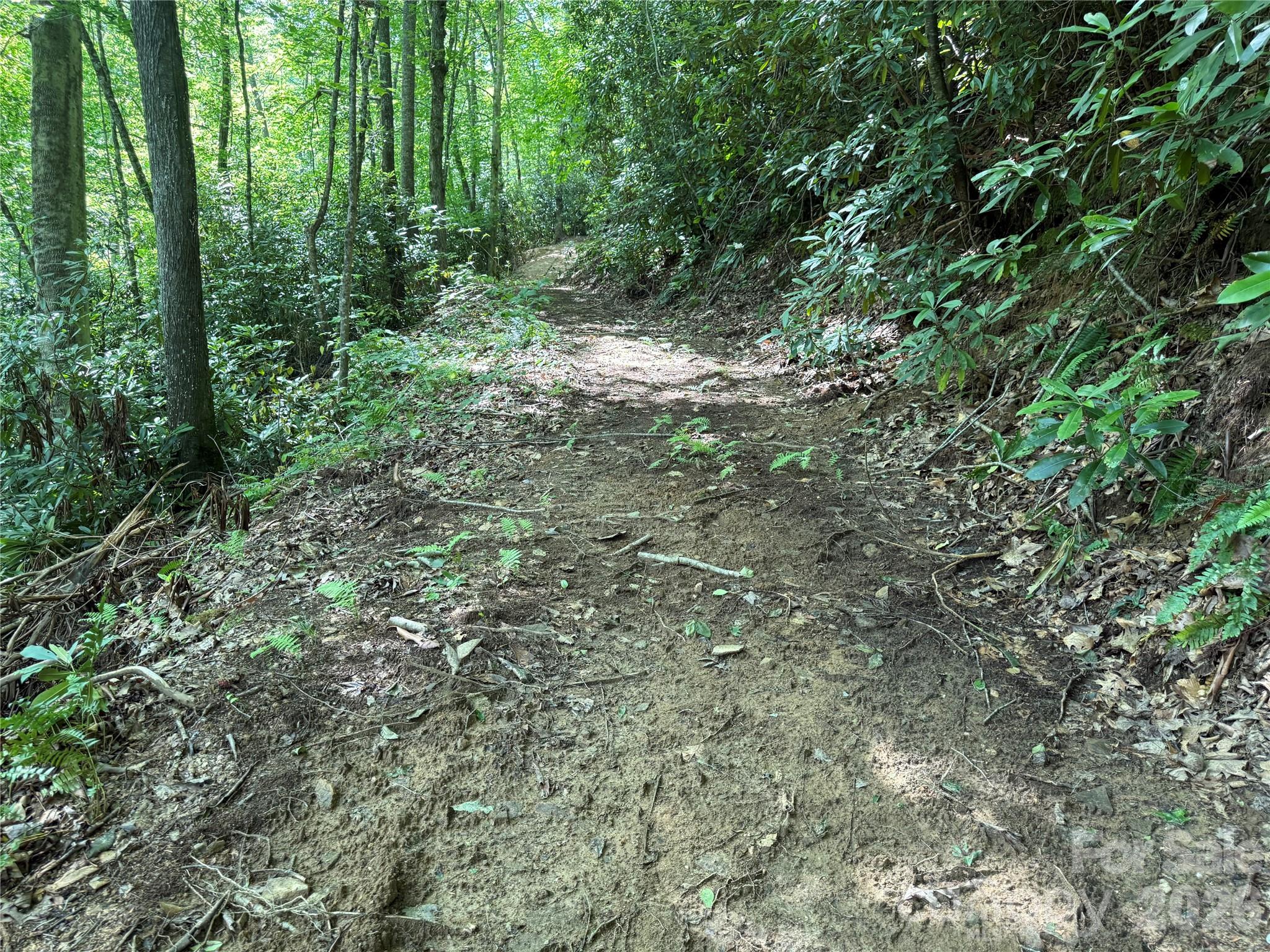 Acreage at 5 Copperhead Cove, Sylva, photo 27 of 27