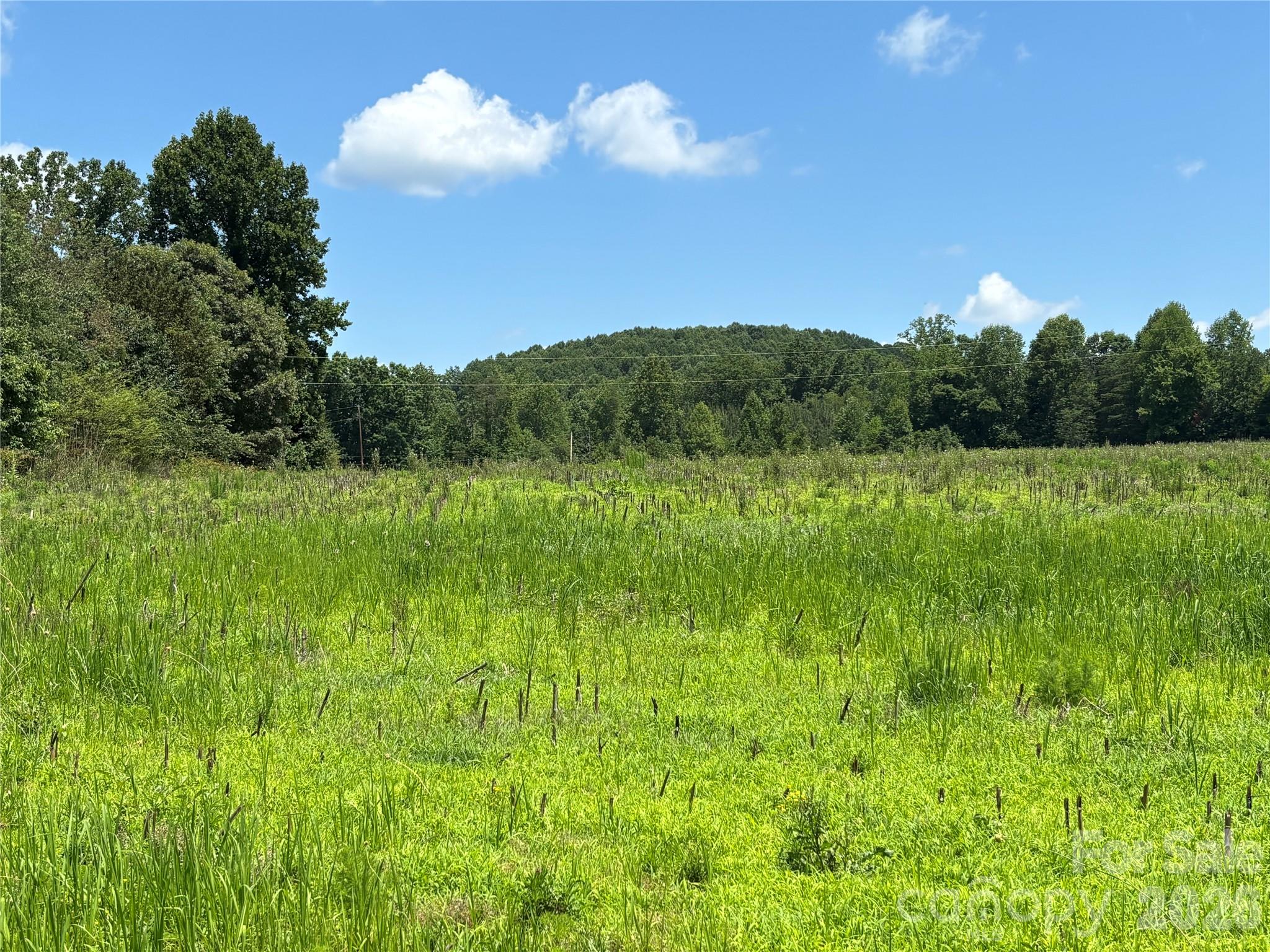 Lot at 00 Brookhaven Road, Statesville, photo 2 of 14