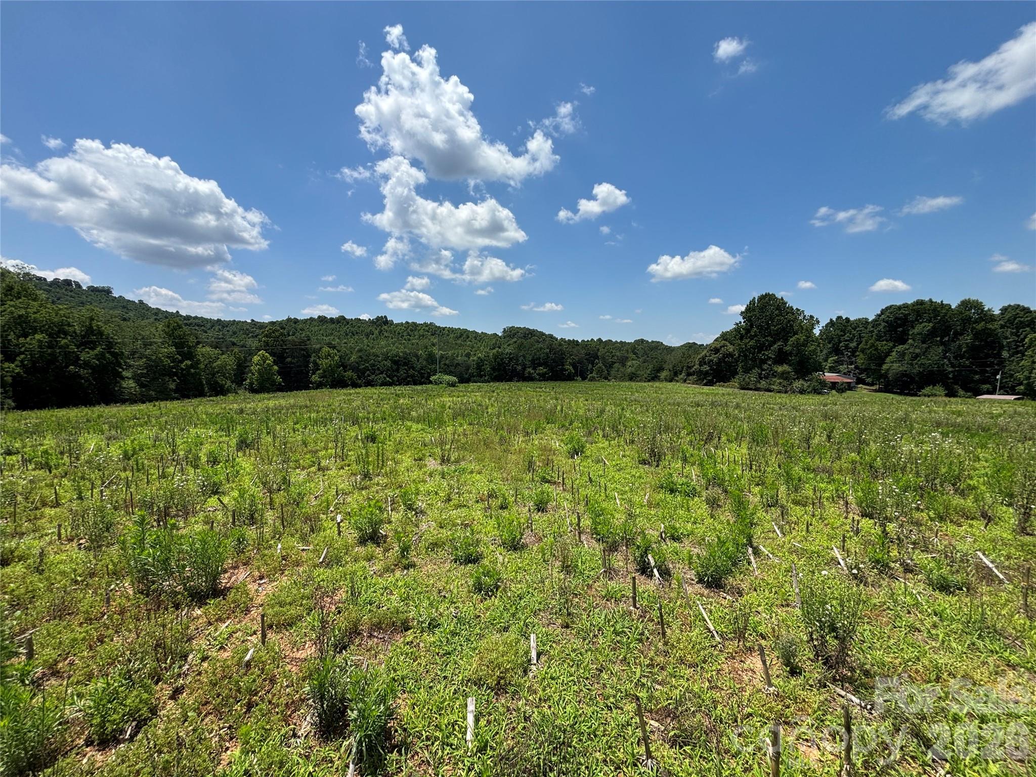 Lot at 00 Brookhaven Road, Statesville, photo 6 of 14