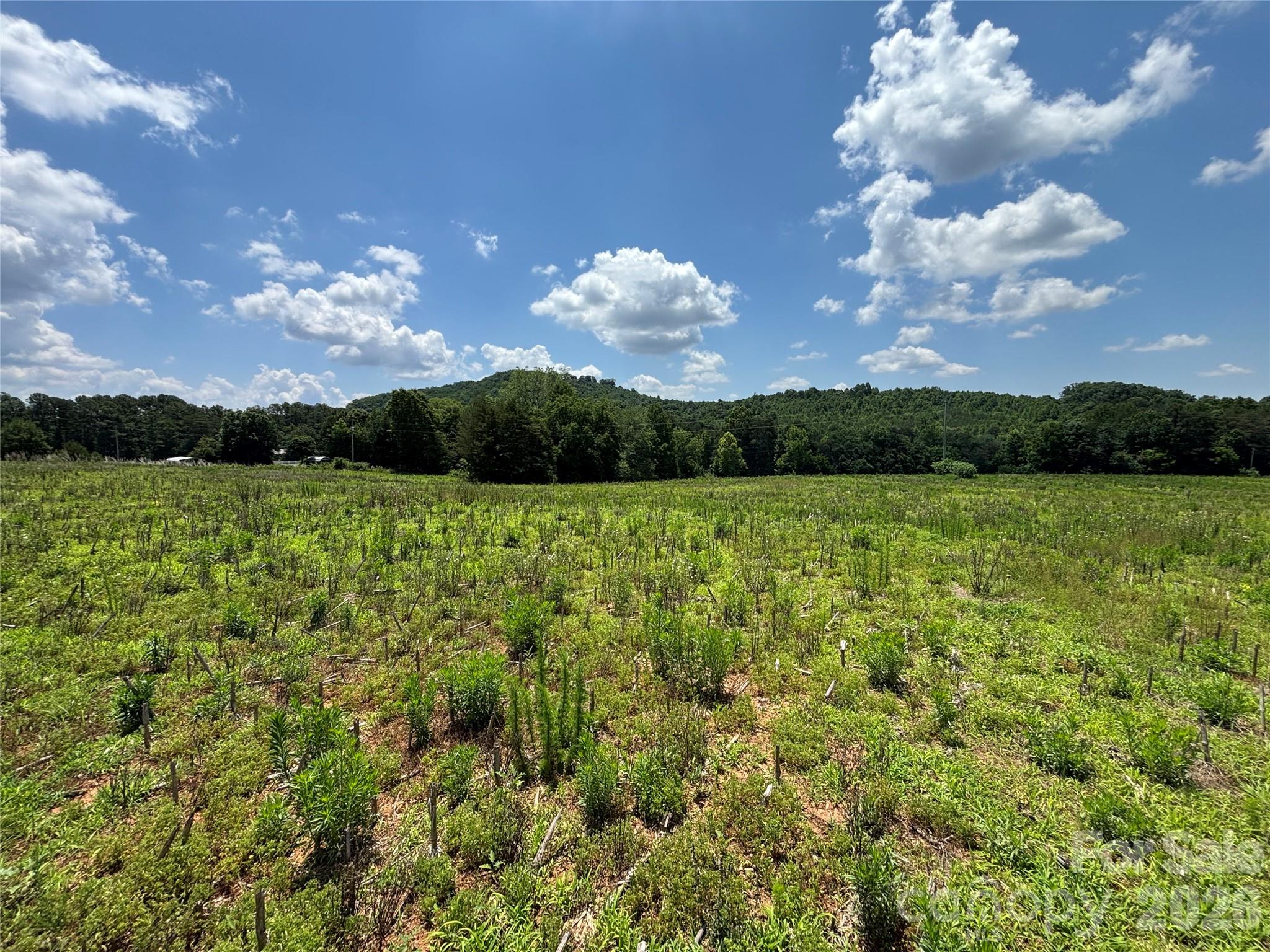 Lot at 00 Brookhaven Road, Statesville, photo 7 of 14