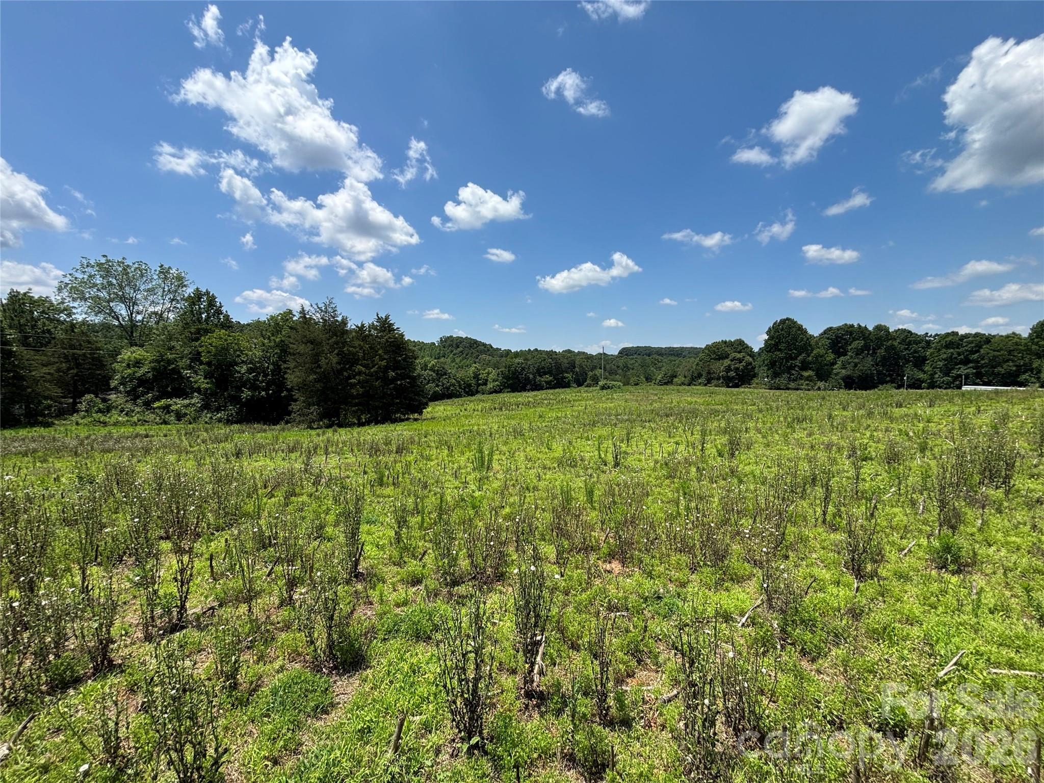 Lot at 00 Brookhaven Road, Statesville, photo 8 of 14