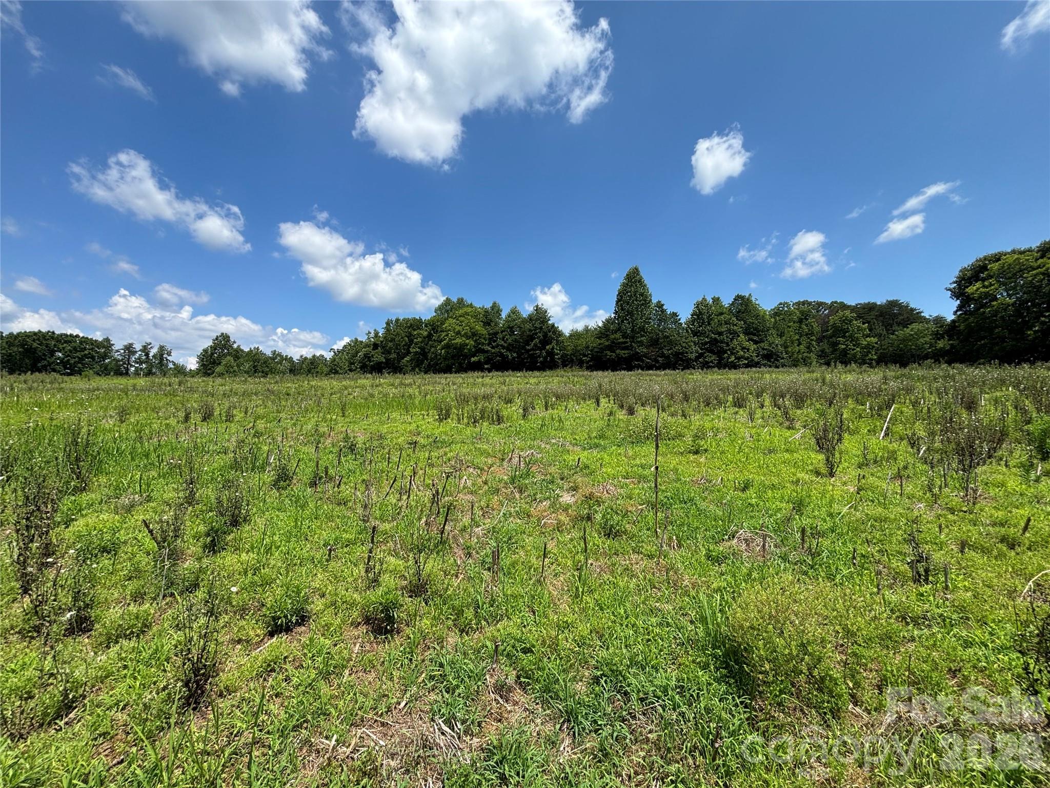 Lot at 00 Brookhaven Road, Statesville, photo 10 of 14