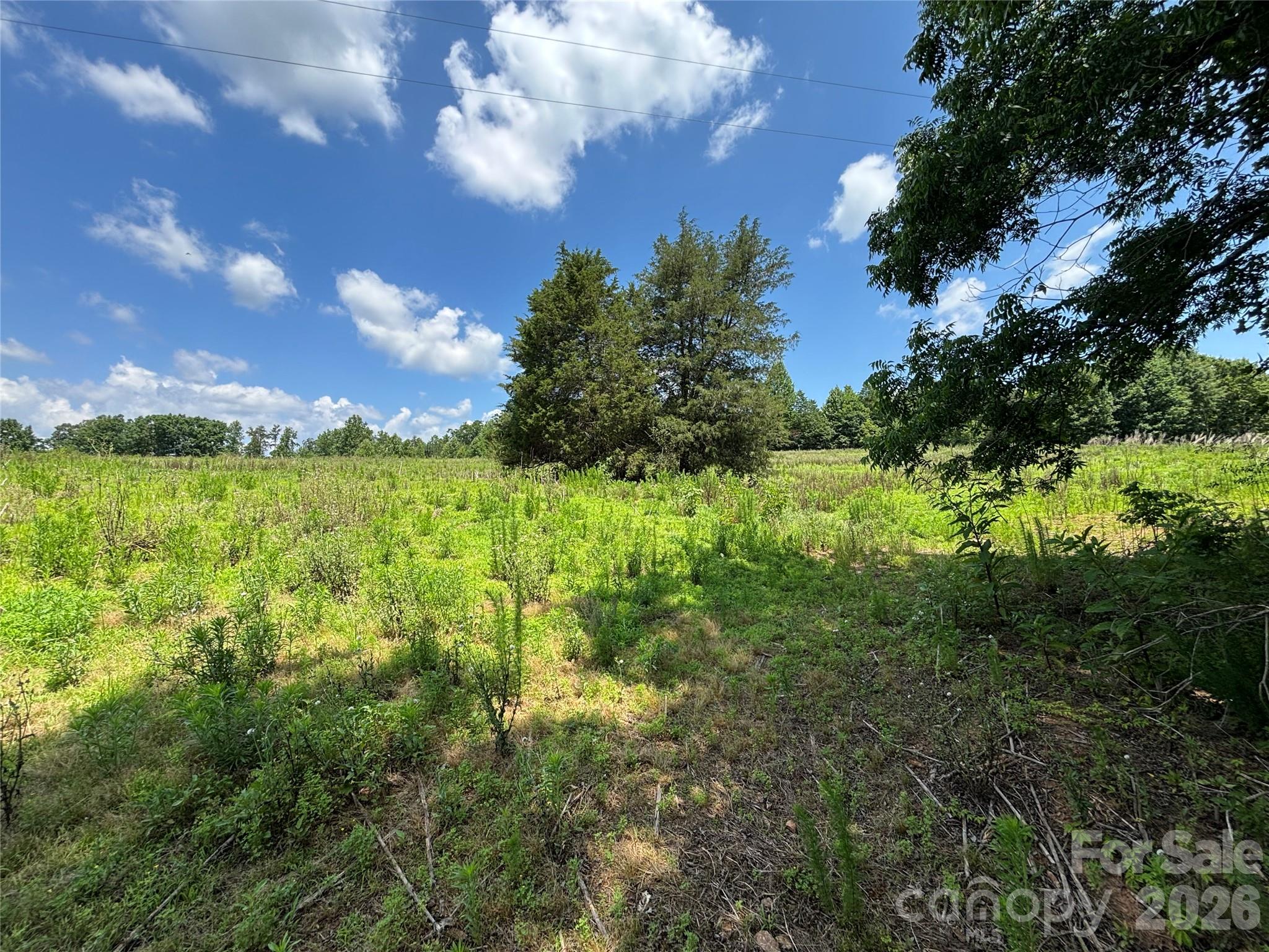 Lot at 00 Brookhaven Road, Statesville, photo 11 of 14