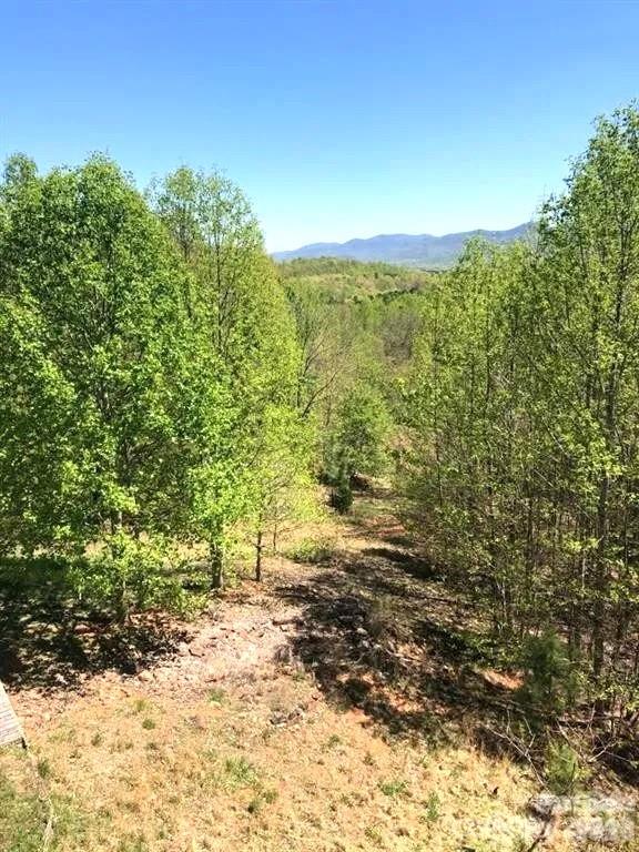 Woods & Views from back deck - 453 Grandview Peaks Drive, Nebo