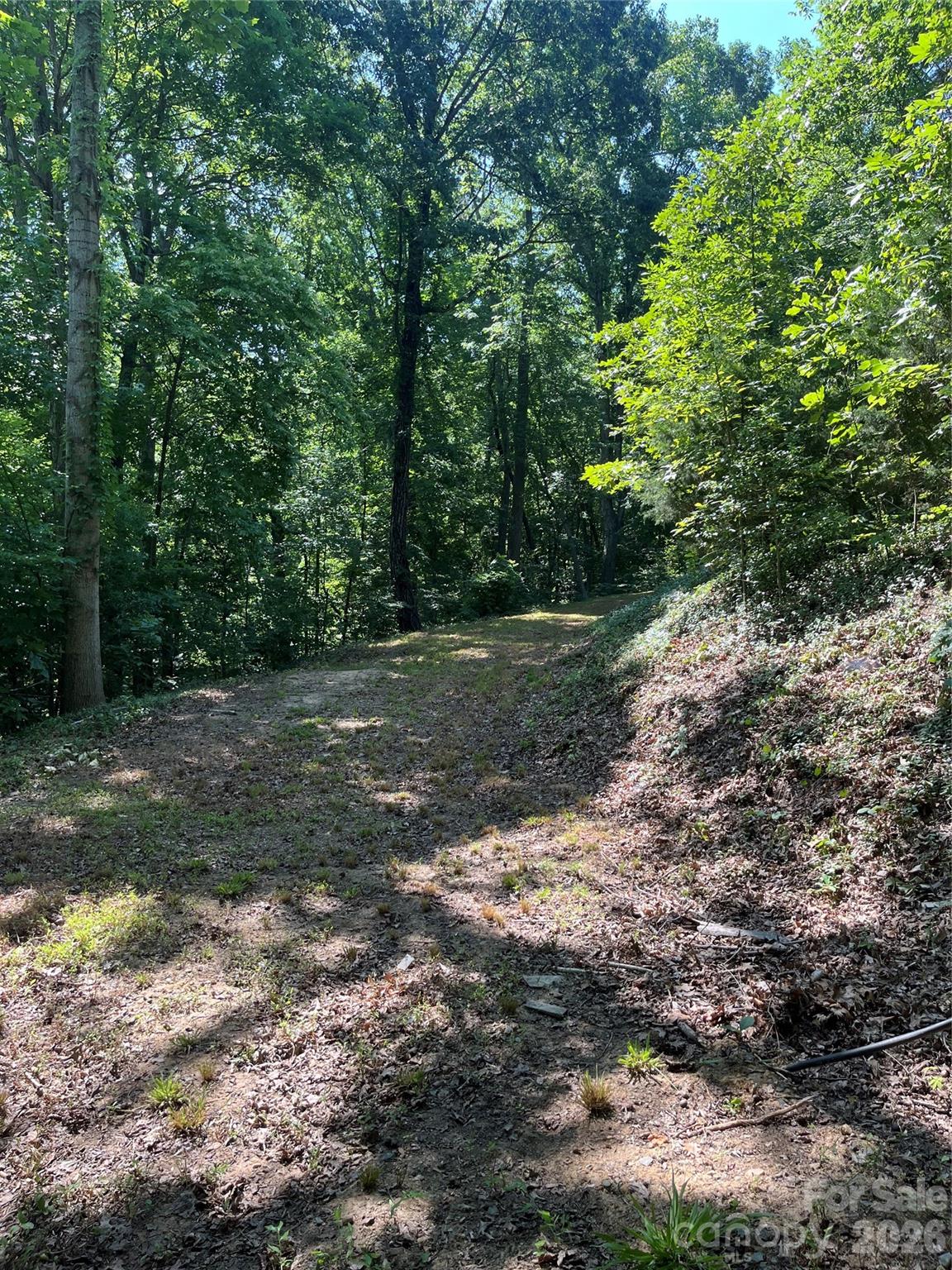 Driveway onto lot where the old mobile home sat. - 120 Sawyer Lane, Mooresville