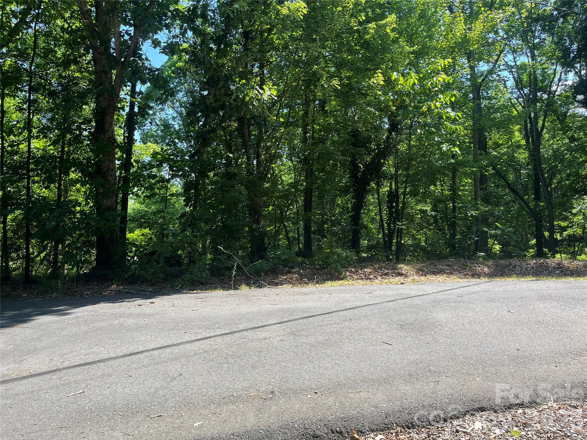 Road frontage at Sawyer LN. - 120 Sawyer Lane, Mooresville