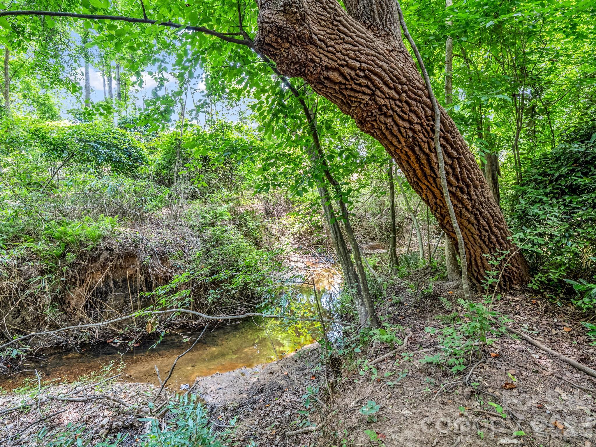 Creek beyond fenced backyard along sewer easement - 1810 Arbor Way Drive, Shelby