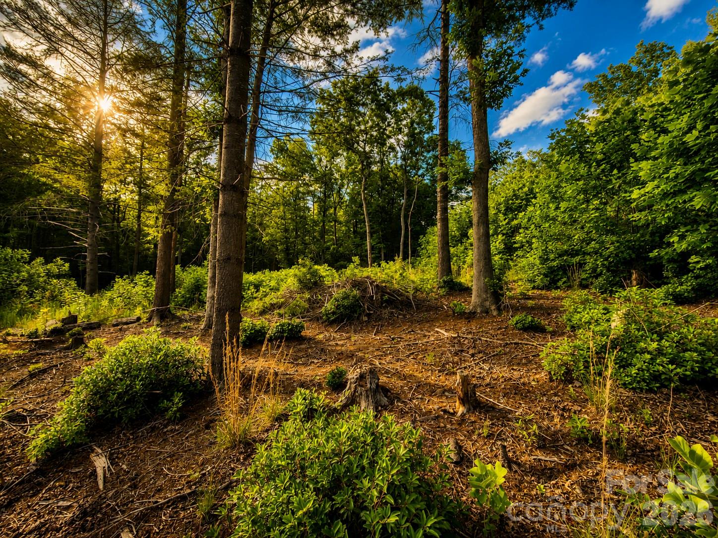 201 Cross Creek North Ridge Drive