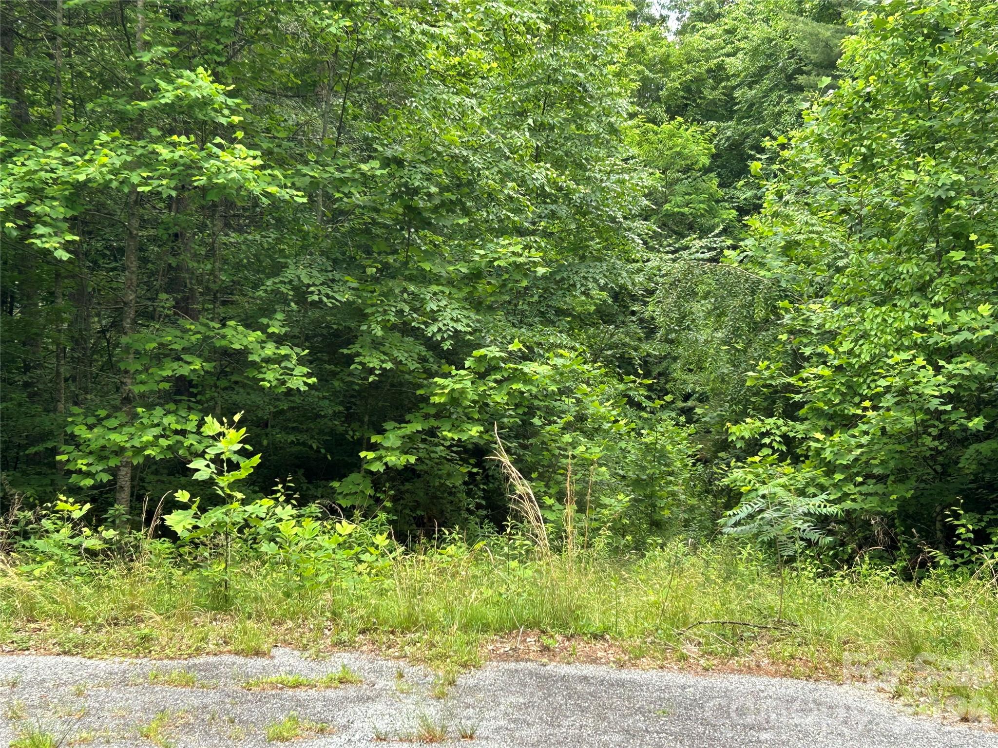 Lot at 0 Silverstone Drive, Hendersonville, photo 2 of 5