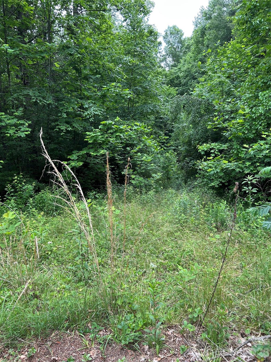Lot at 0 Silverstone Drive, Hendersonville, photo 3 of 5