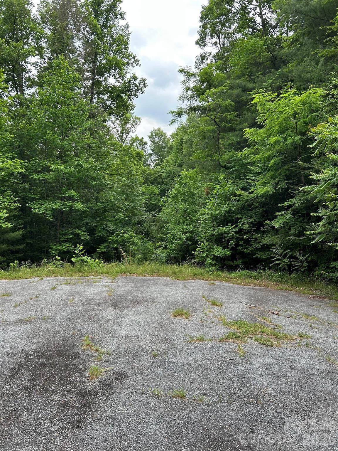 Lot at 0 Silverstone Drive, Hendersonville, photo 4 of 5