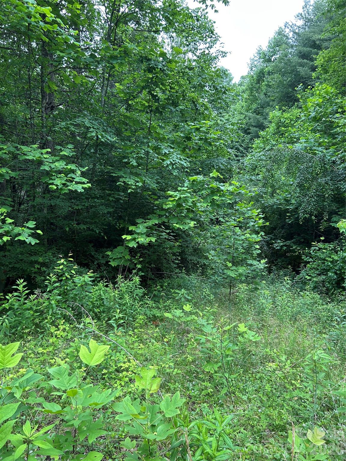 Lot at 0 Silverstone Drive, Hendersonville, photo 5 of 5