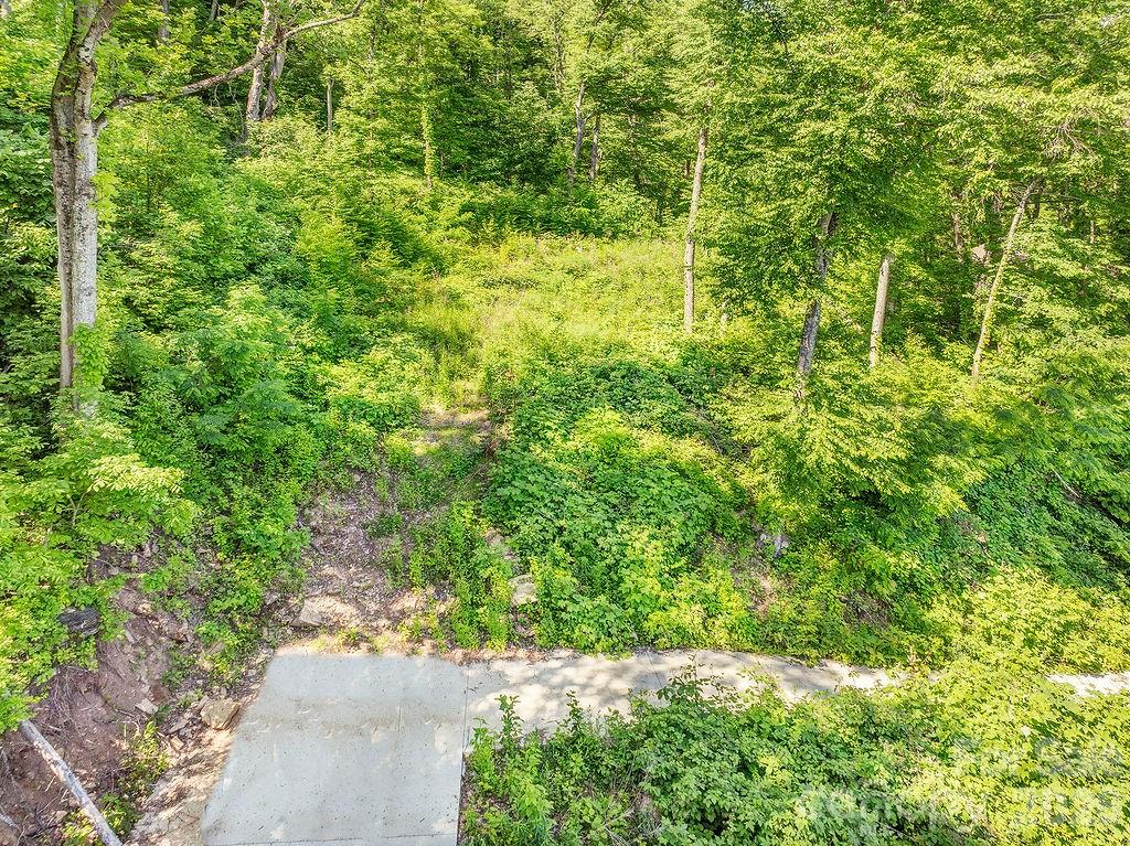Lot at 93 Patchens Estate Road, Waynesville, photo 2 of 12