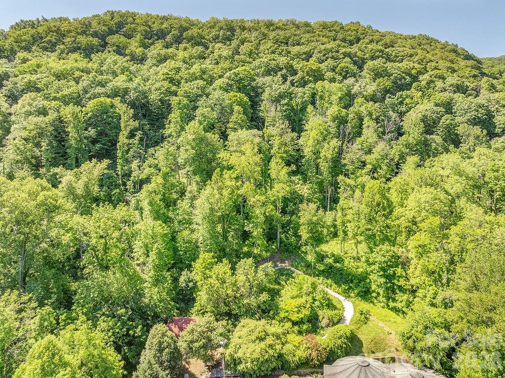 Lot at 93 Patchens Estate Road, Waynesville, photo 3 of 12
