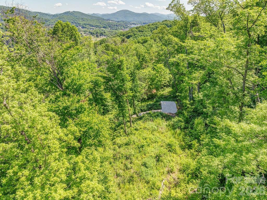 Lot at 93 Patchens Estate Road, Waynesville, photo 4 of 12