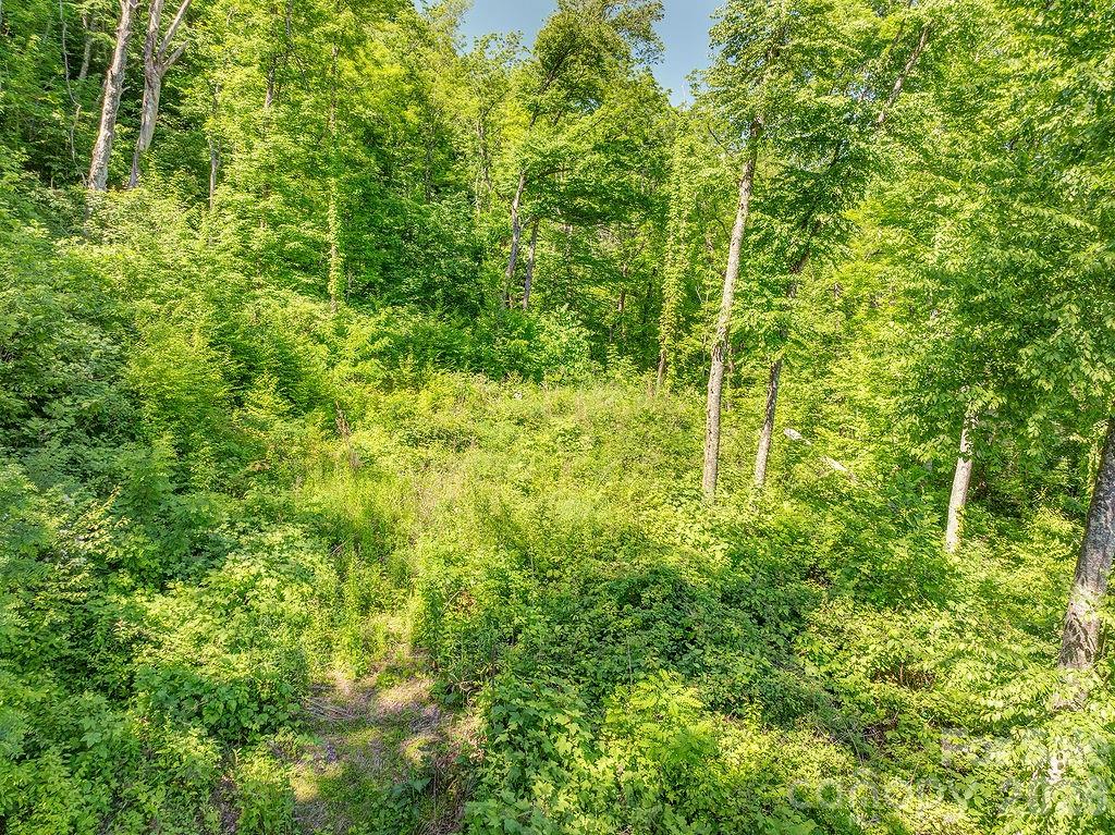 Lot at 93 Patchens Estate Road, Waynesville, photo 5 of 12