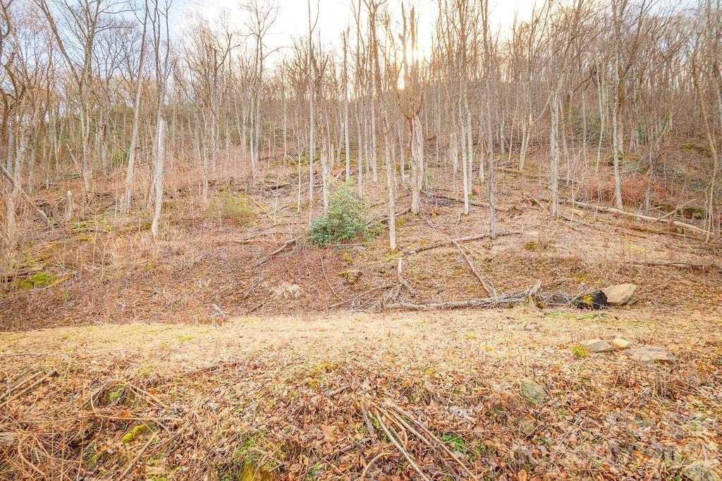 Lot at 93 Patchens Estate Road, Waynesville, photo 9 of 12