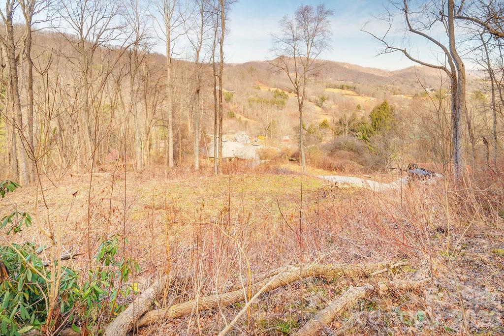 Lot at 93 Patchens Estate Road, Waynesville, photo 11 of 12