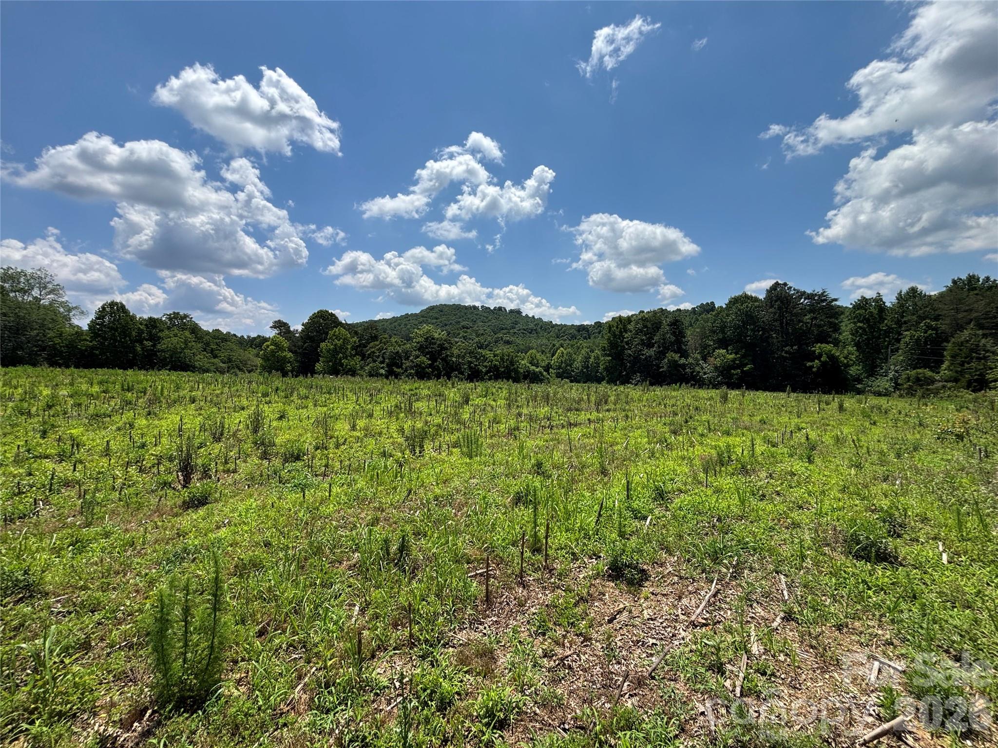 Lot at 00 Brookhaven Road, Statesville, photo 4 of 14