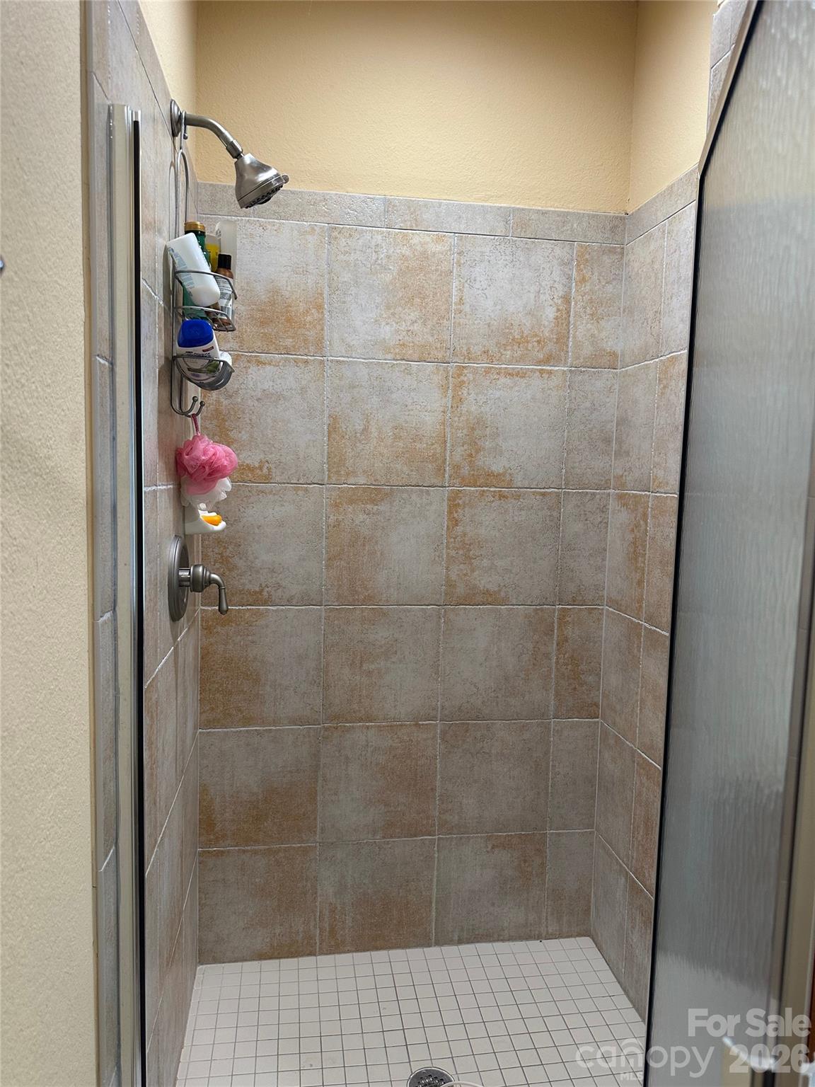 Primary Bath Shower - 222 Creekside Way, Burnsville