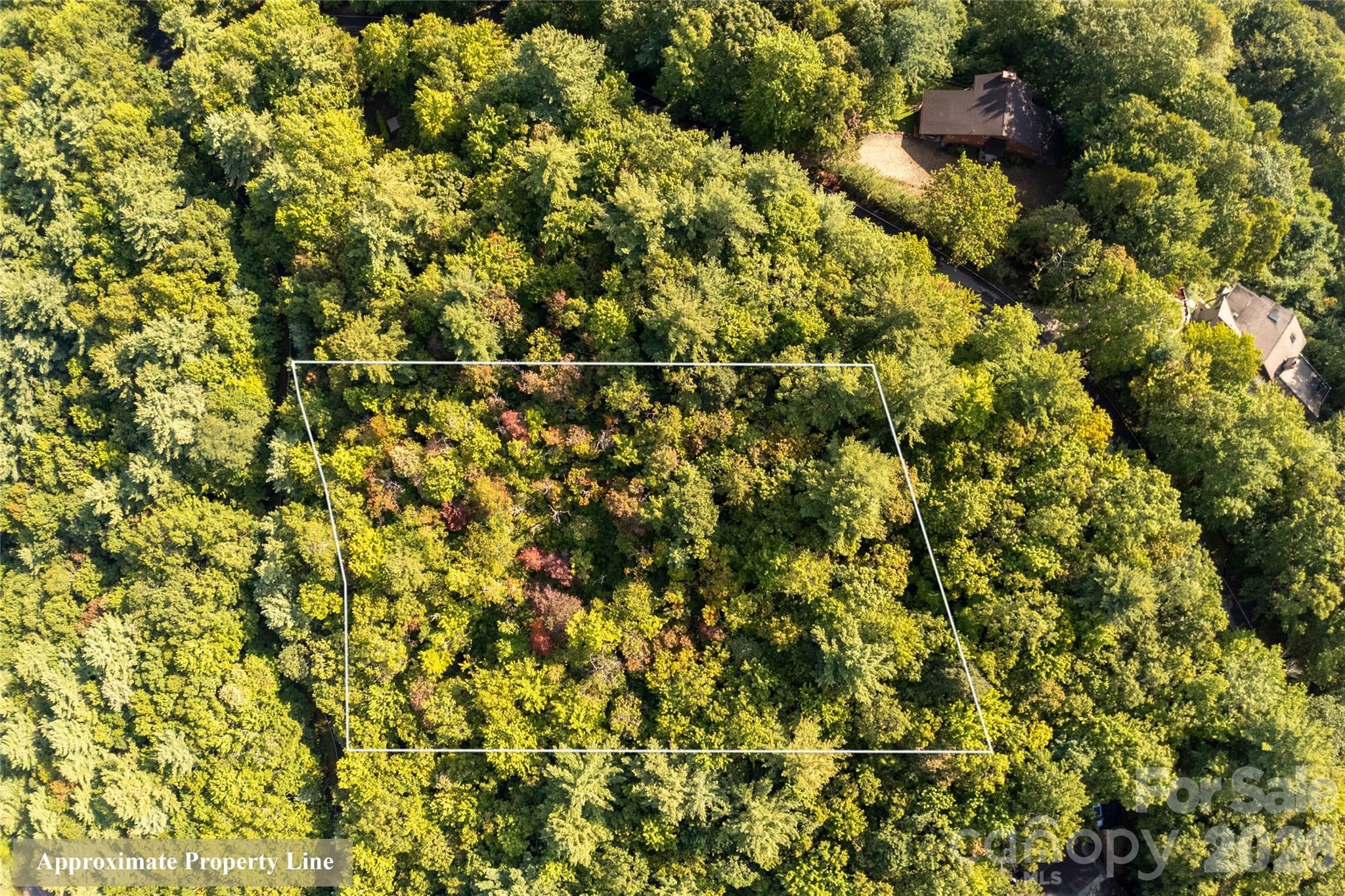 Lot at RR 17 Lakeside Drive, Lake Toxaway, photo 8 of 14
